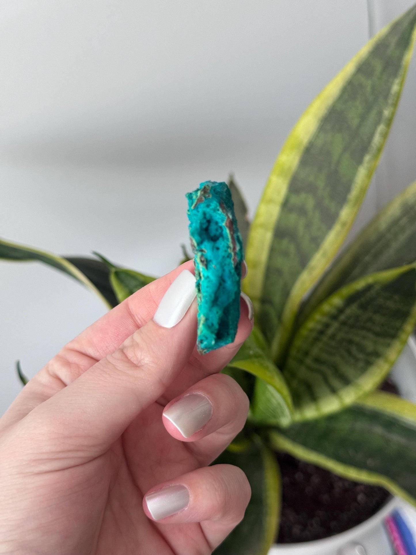 Beautiful Chrysocolla Specimen from Cunyari Mine in Peru | Cunyari Chrysocolla