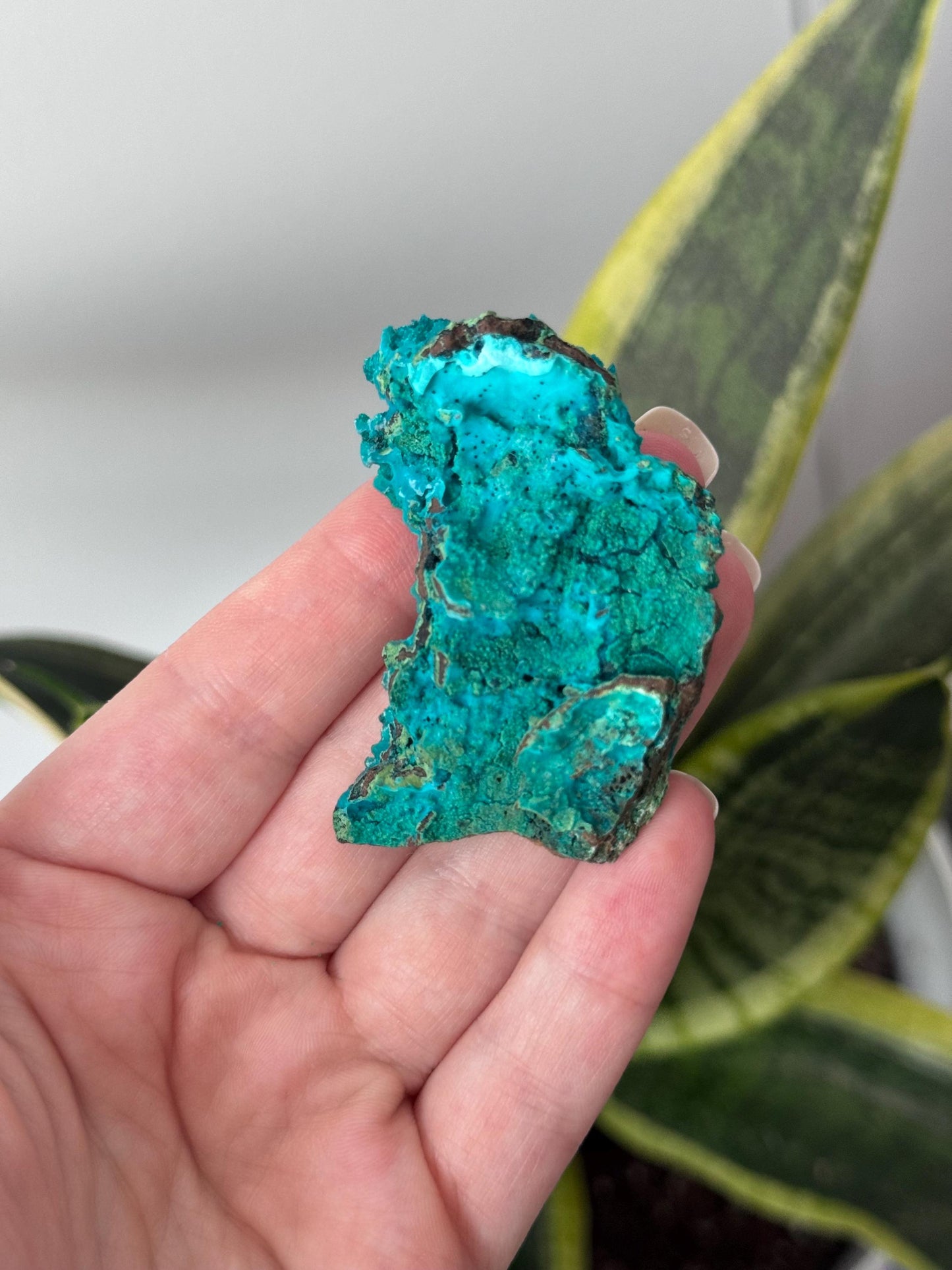 Beautiful Chrysocolla Specimen from Cunyari Mine in Peru | Cunyari Chrysocolla