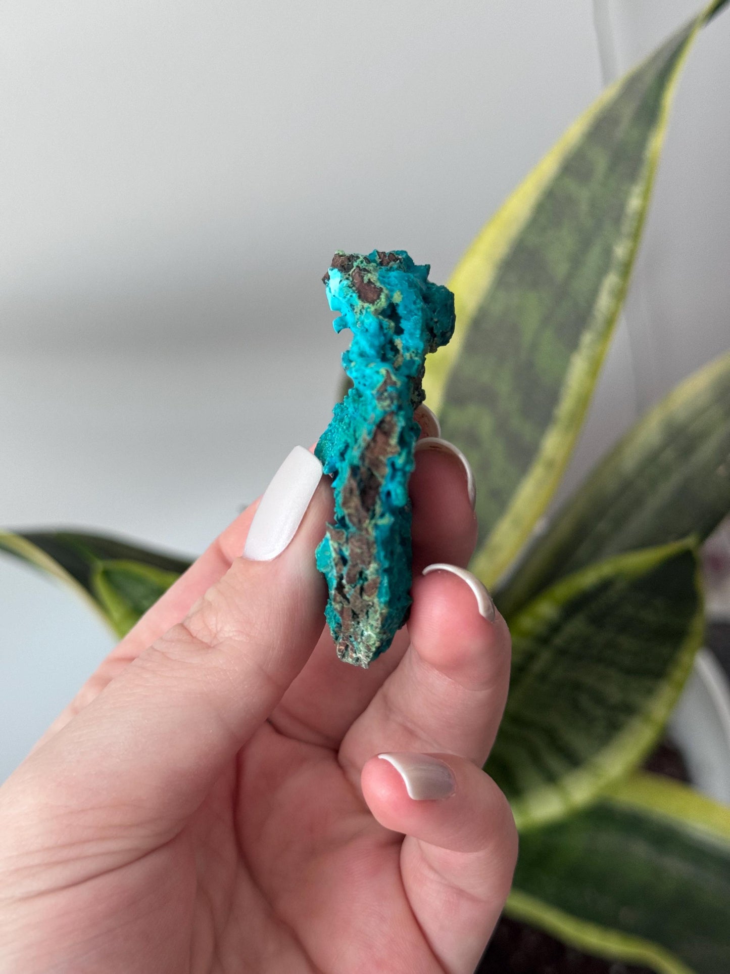 Beautiful Chrysocolla Specimen from Cunyari Mine in Peru | Cunyari Chrysocolla