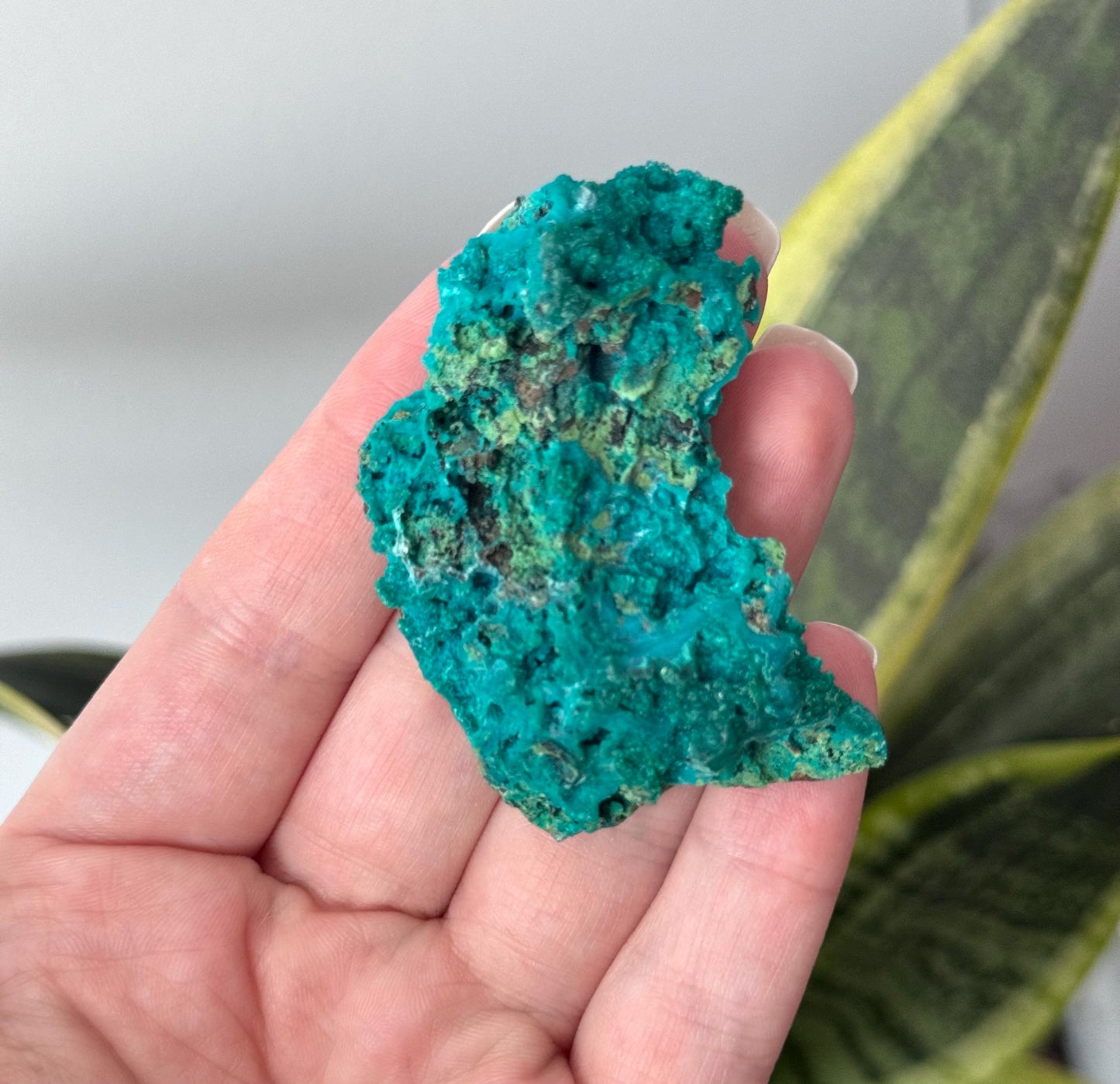 Beautiful Chrysocolla Specimen from Cunyari Mine in Peru | Cunyari Chrysocolla