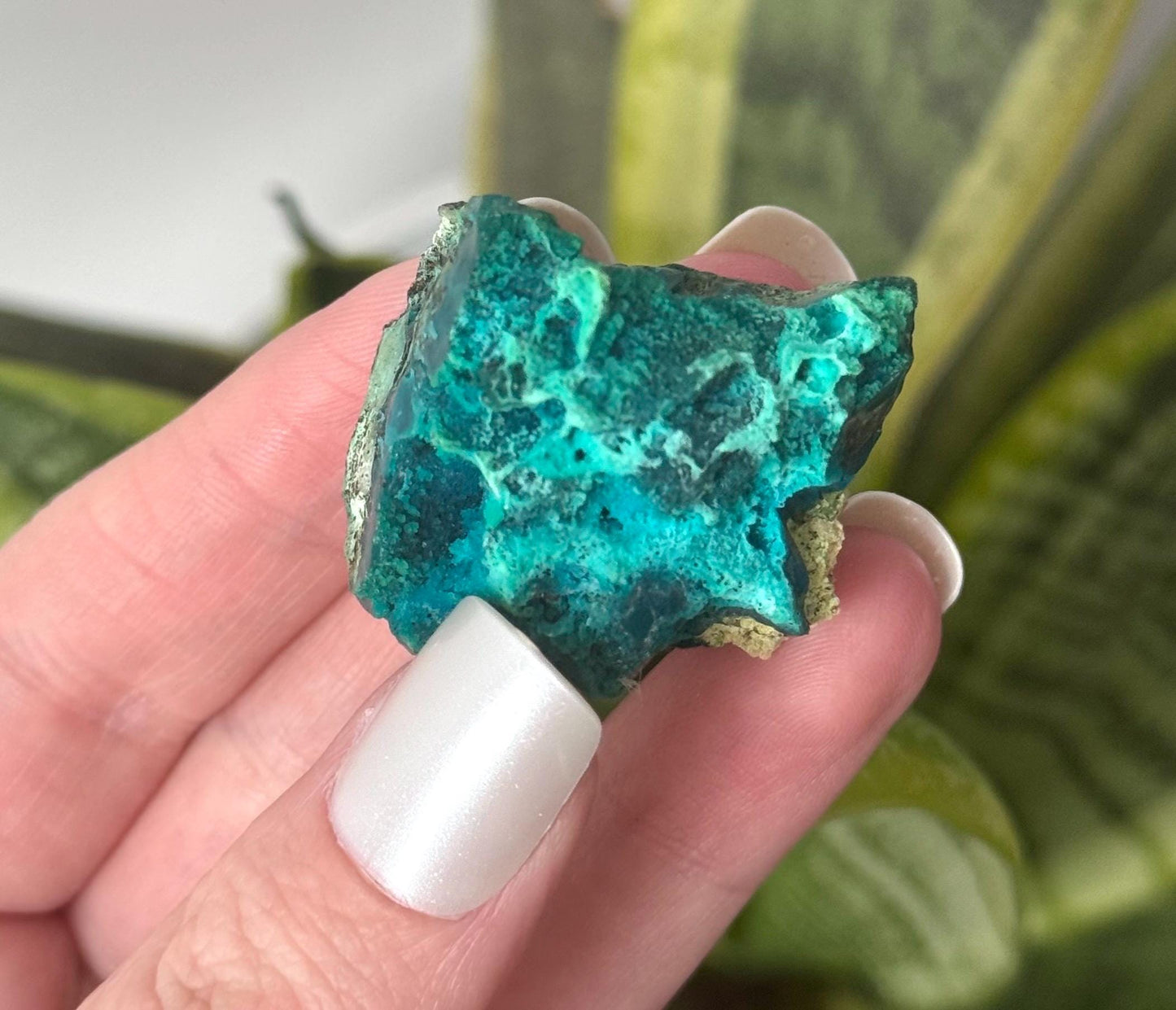 Beautiful Chrysocolla Specimen from Cunyari Mine in Peru | Cunyari Chrysocolla