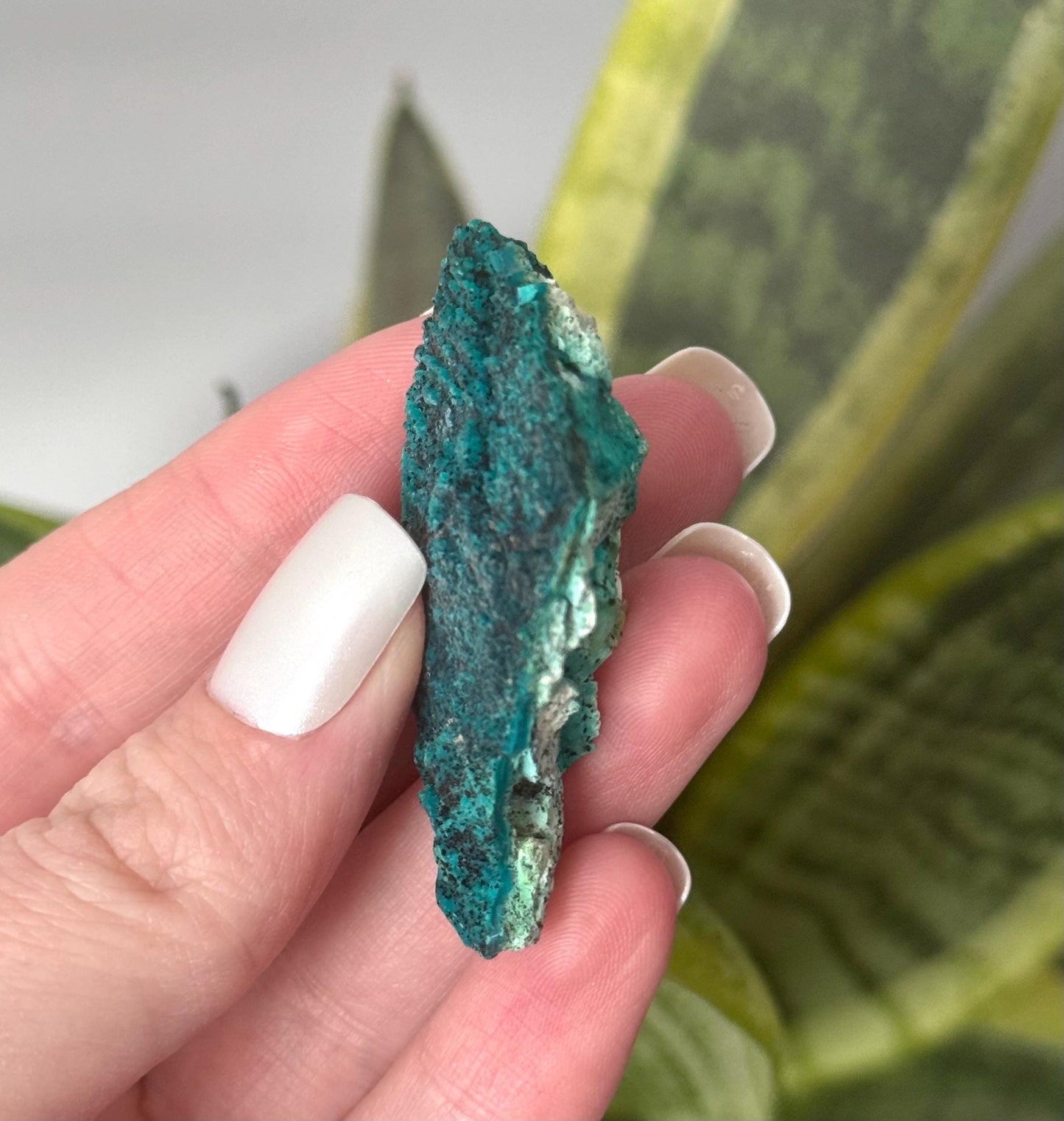 Beautiful Chrysocolla Specimen from Cunyari Mine in Peru | Cunyari Chrysocolla