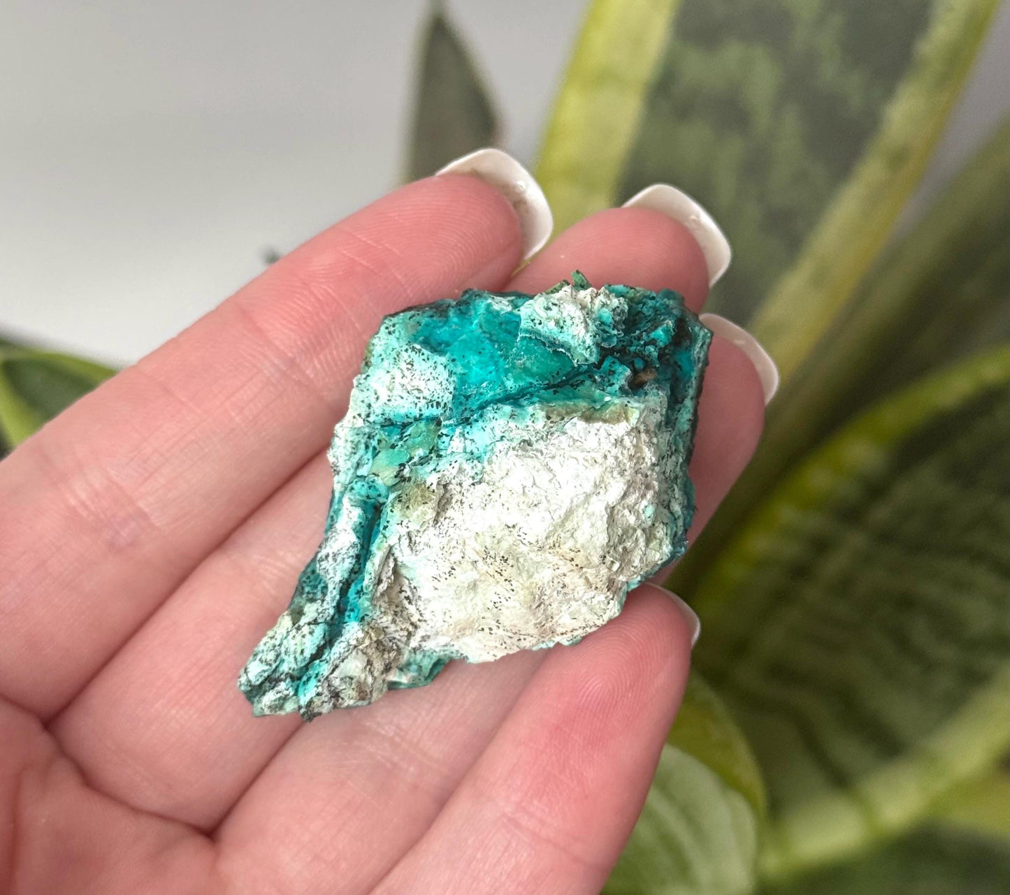 Beautiful Chrysocolla Specimen from Cunyari Mine in Peru | Cunyari Chrysocolla