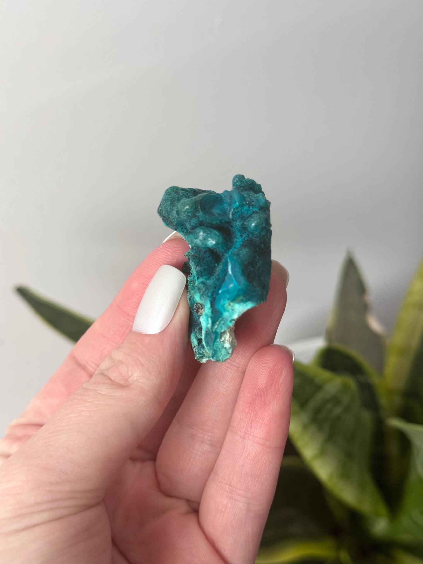 Beautiful Chrysocolla Specimen from Cunyari Mine in Peru | Cunyari Chrysocolla