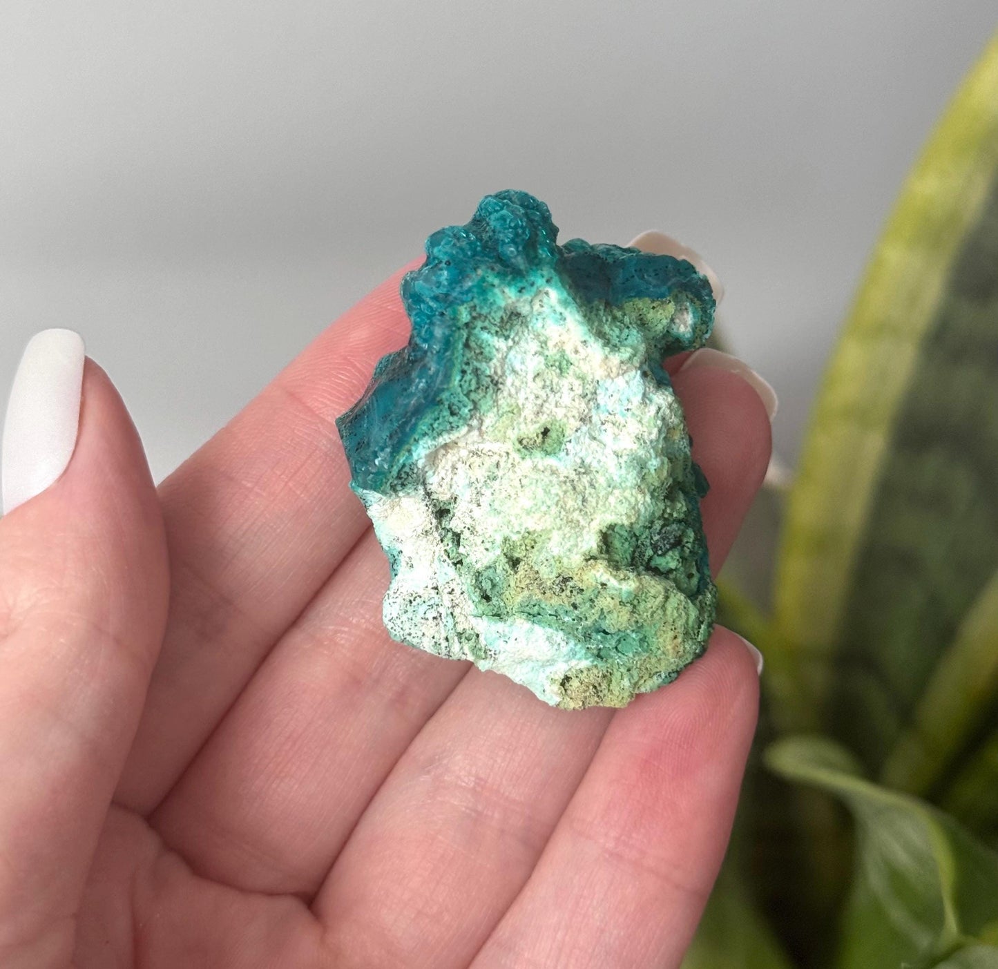 Beautiful Chrysocolla Specimen from Cunyari Mine in Peru | Cunyari Chrysocolla