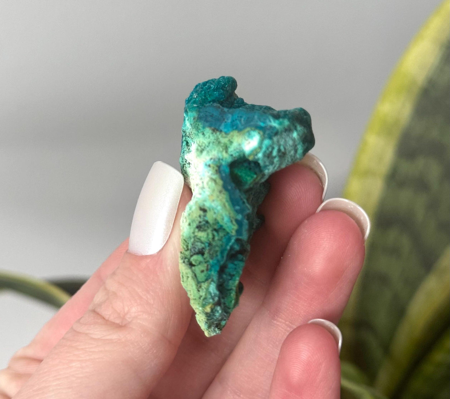 Beautiful Chrysocolla Specimen from Cunyari Mine in Peru | Cunyari Chrysocolla