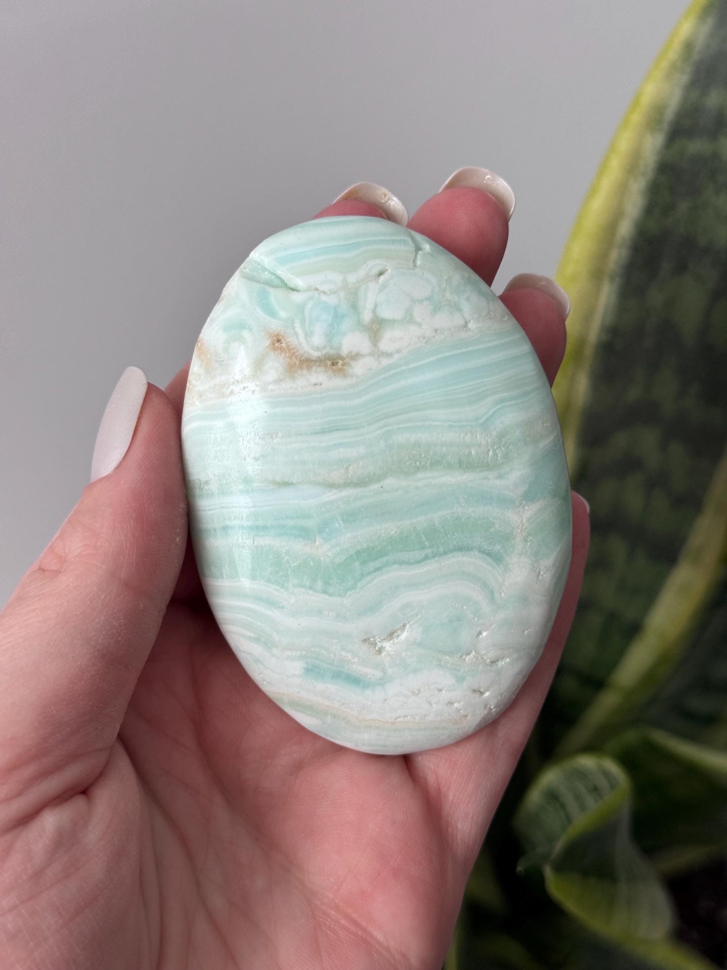 High Quality Caribbean Calcite Palm Stone Carribean Calcite Palmstone