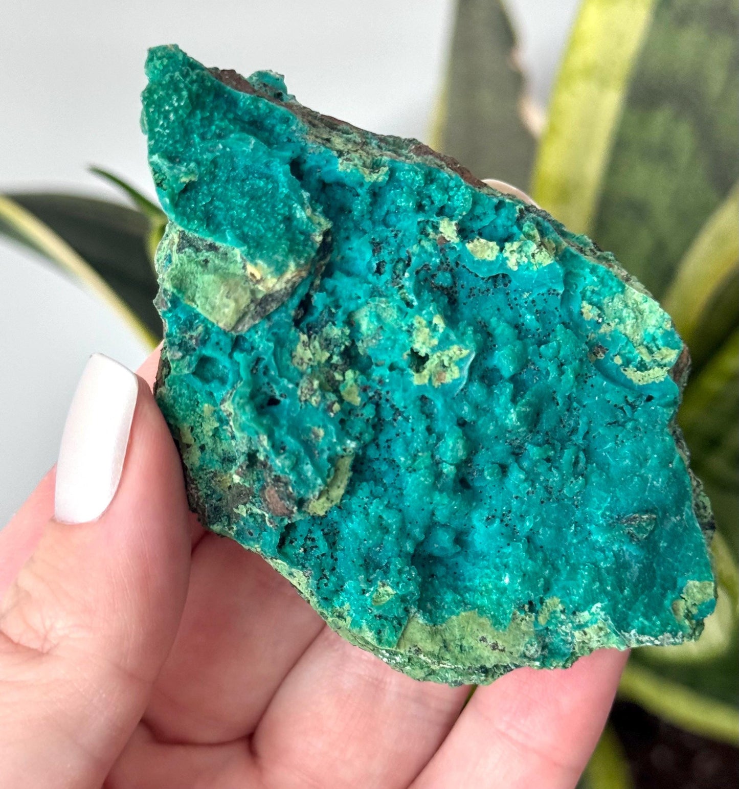 Beautiful Chrysocolla Specimen from Cunyari Mine in Peru | Cunyari Chrysocolla
