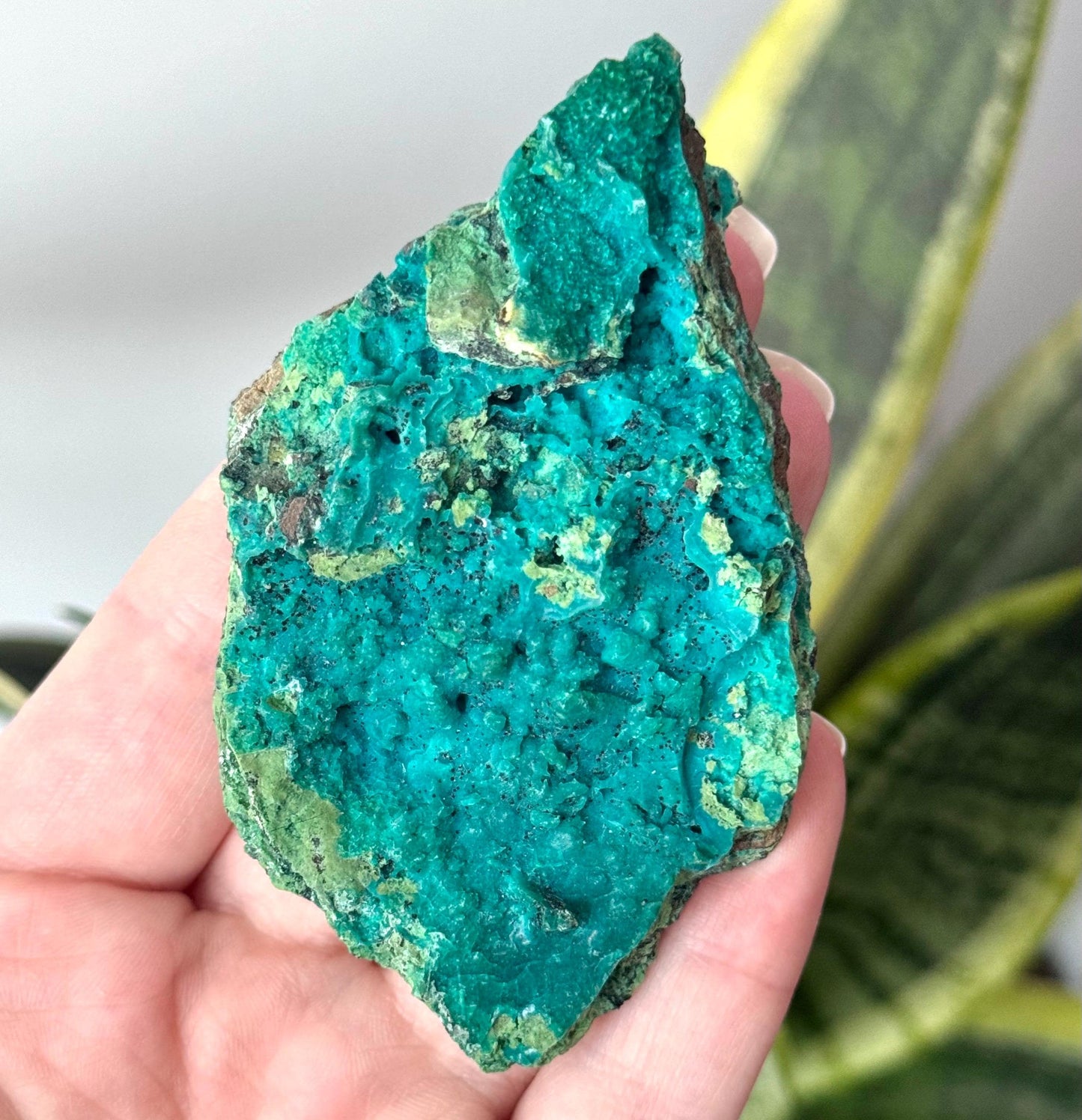 Beautiful Chrysocolla Specimen from Cunyari Mine in Peru | Cunyari Chrysocolla