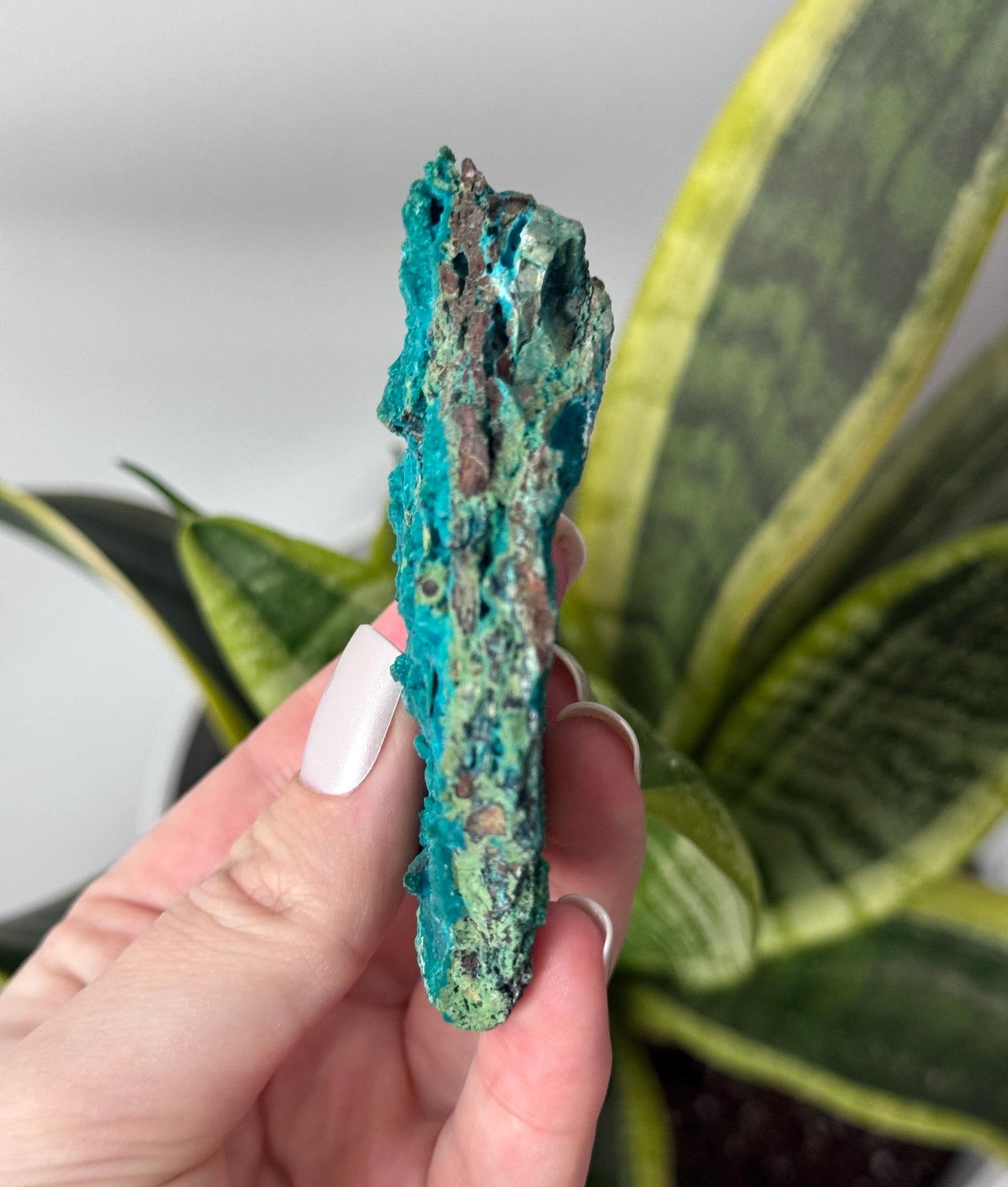 Beautiful Chrysocolla Specimen from Cunyari Mine in Peru | Cunyari Chrysocolla