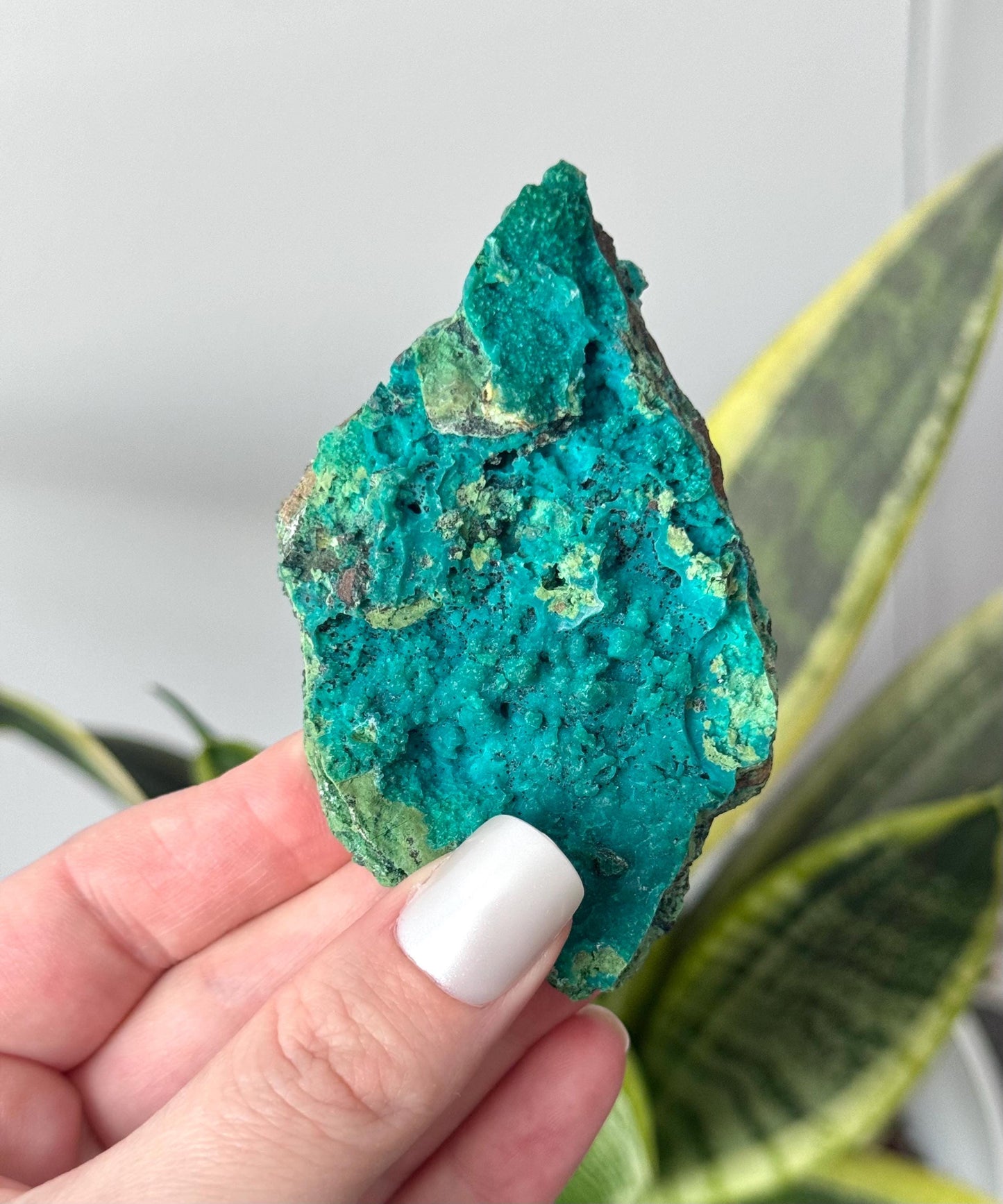 Beautiful Chrysocolla Specimen from Cunyari Mine in Peru | Cunyari Chrysocolla