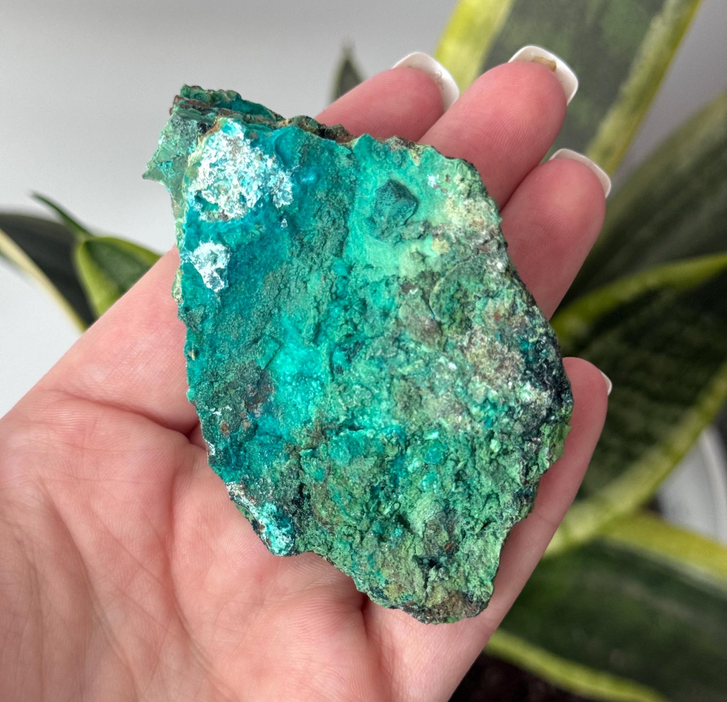 Beautiful Chrysocolla Specimen from Cunyari Mine in Peru | Cunyari Chrysocolla