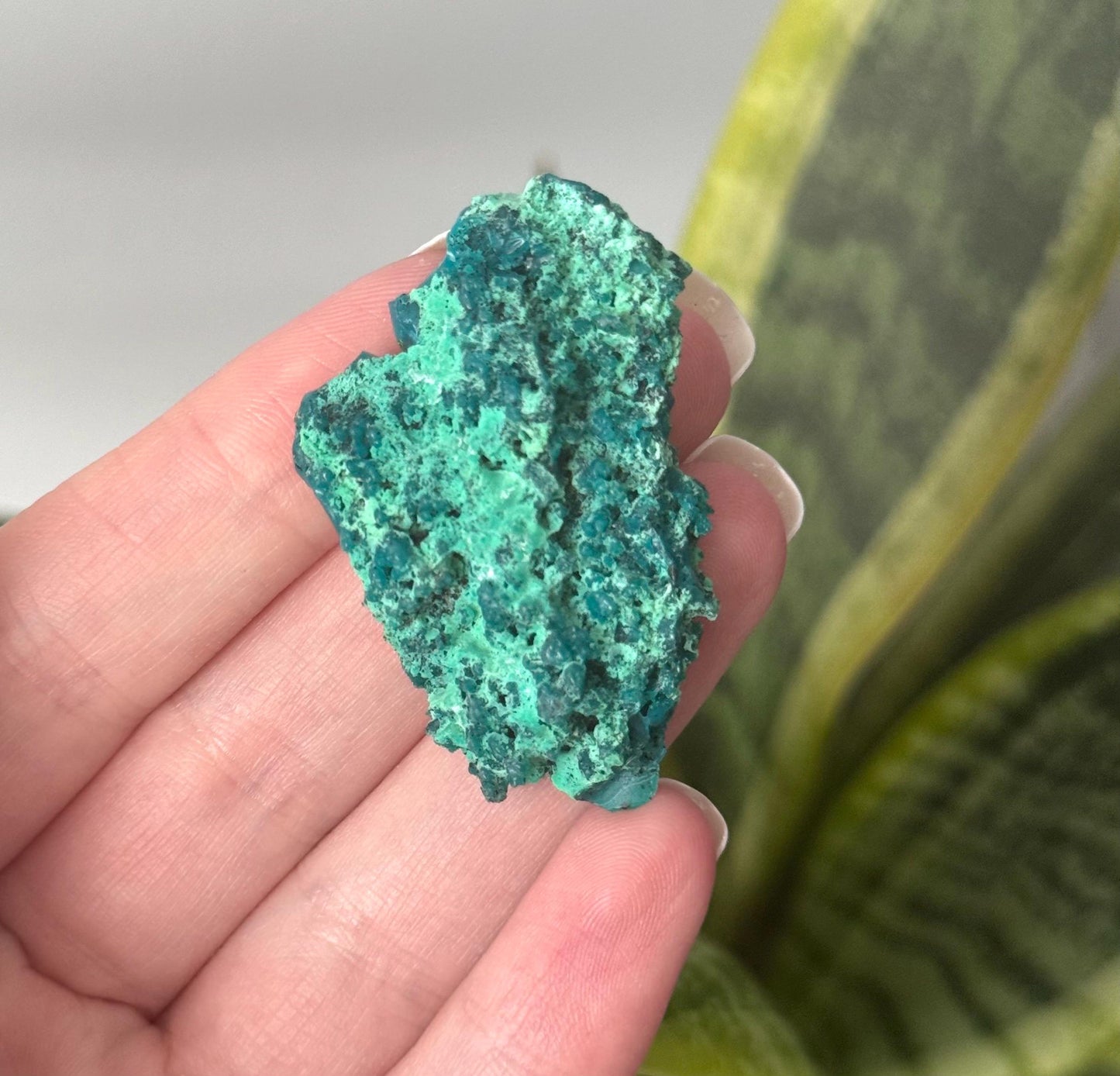 Beautiful Chrysocolla Specimen from Cunyari Mine in Peru | Cunyari Chrysocolla