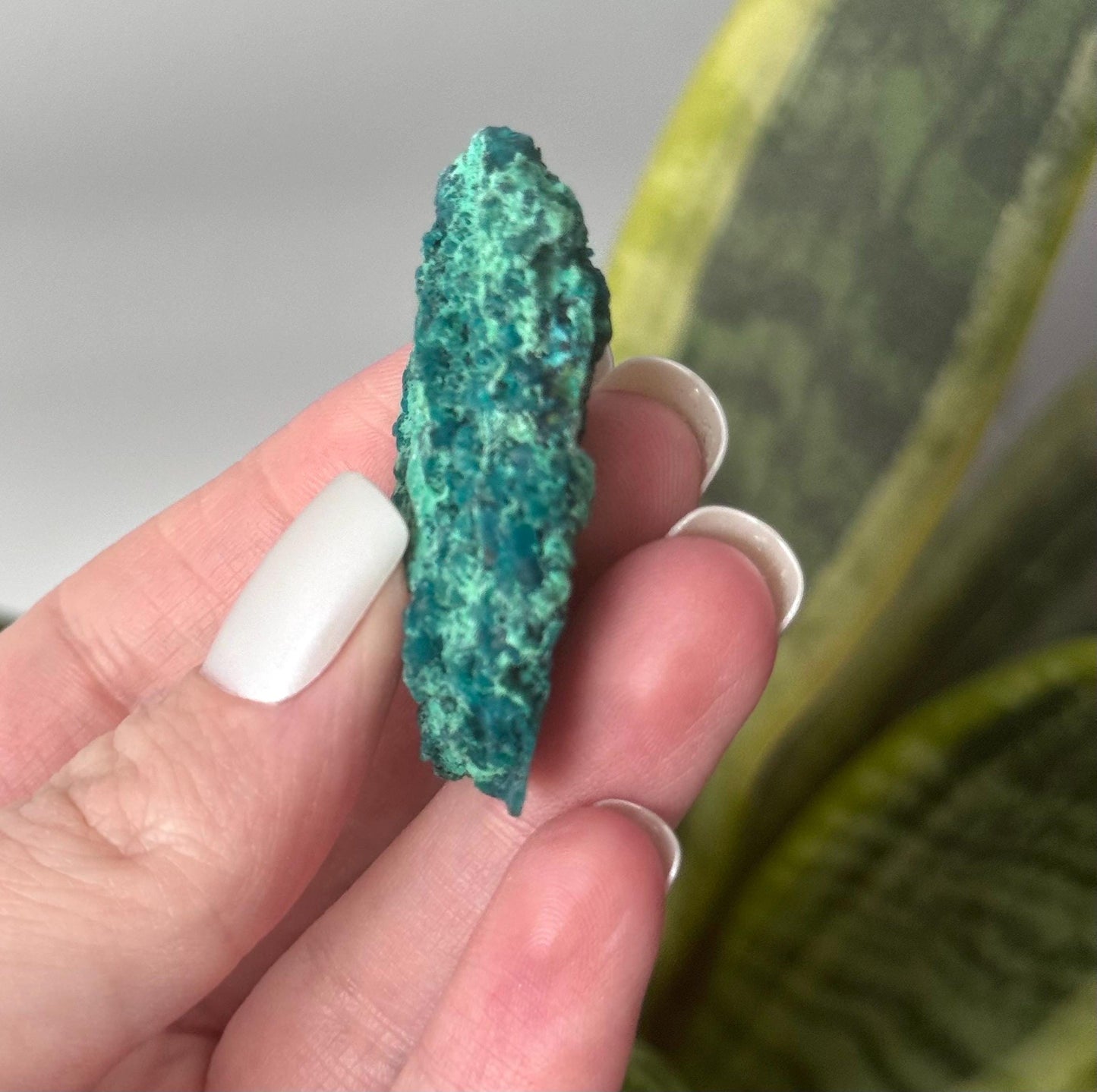 Beautiful Chrysocolla Specimen from Cunyari Mine in Peru | Cunyari Chrysocolla
