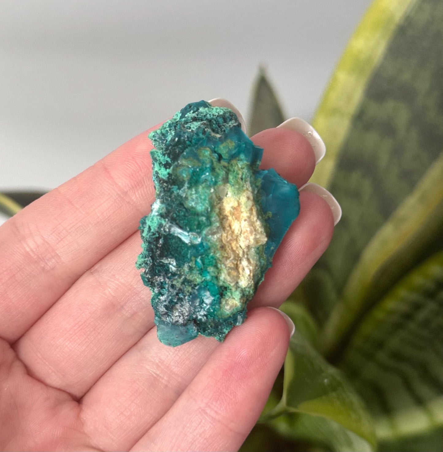 Beautiful Chrysocolla Specimen from Cunyari Mine in Peru | Cunyari Chrysocolla
