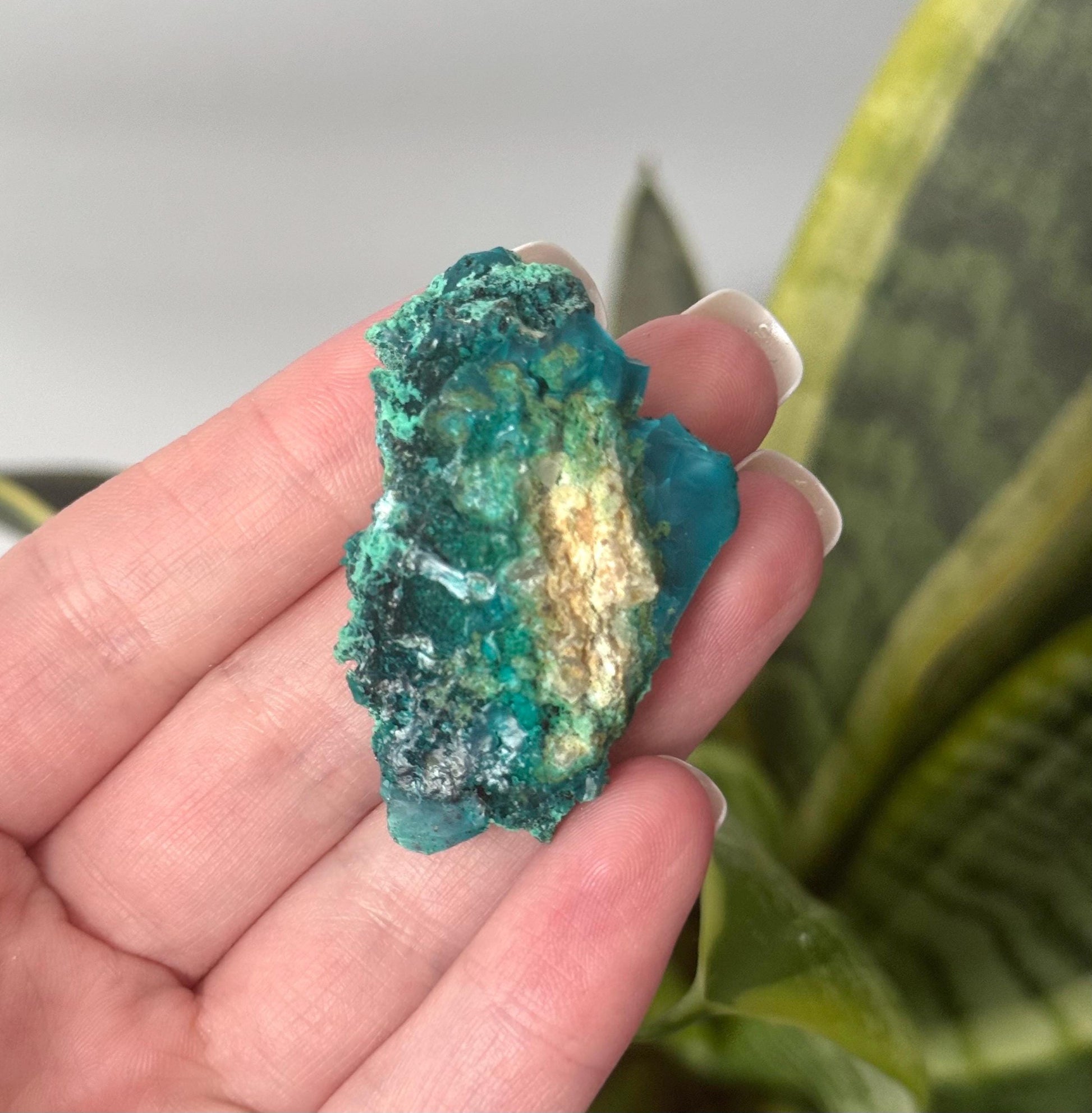 Beautiful Chrysocolla Specimen from Cunyari Mine in Peru | Cunyari Chrysocolla