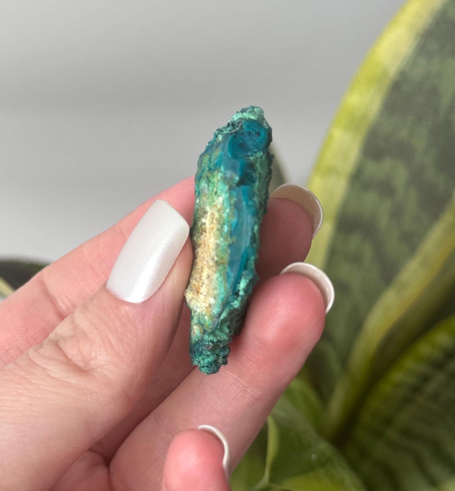 Beautiful Chrysocolla Specimen from Cunyari Mine in Peru | Cunyari Chrysocolla