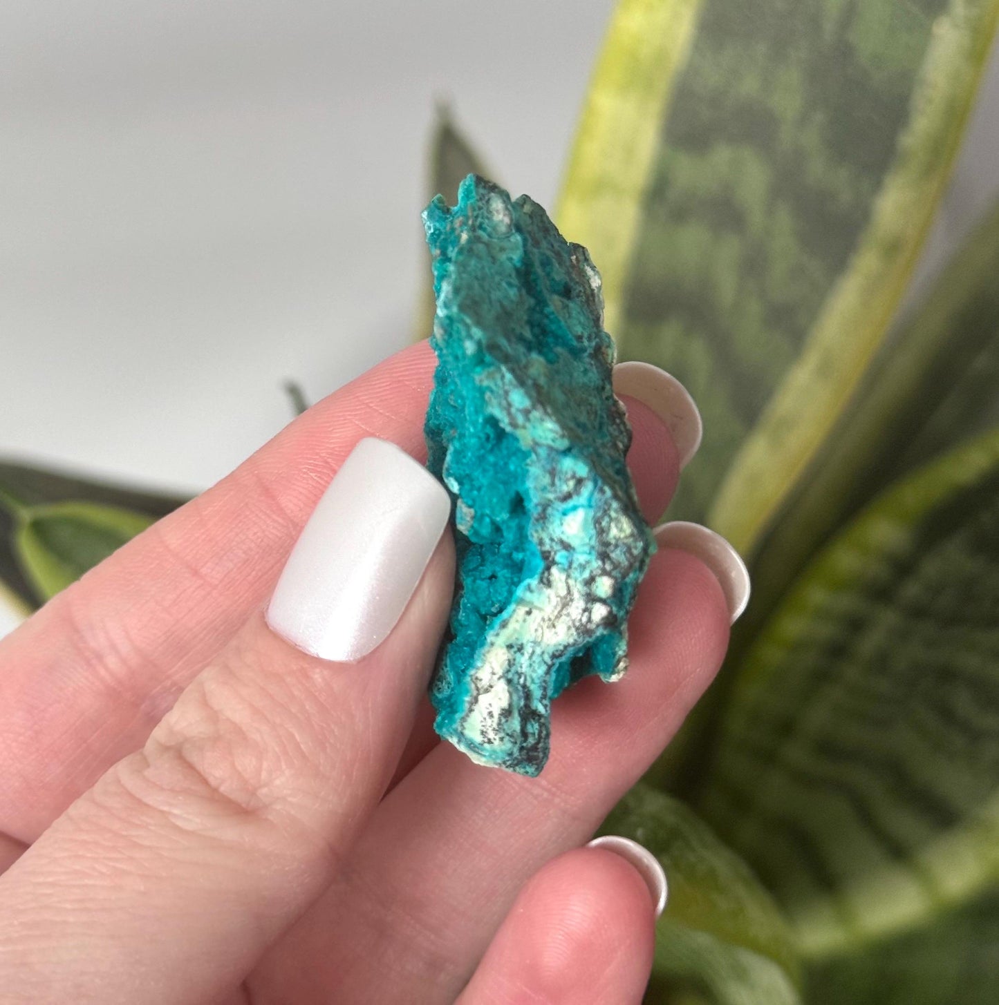 Beautiful Chrysocolla Specimen from Cunyari Mine in Peru | Cunyari Chrysocolla