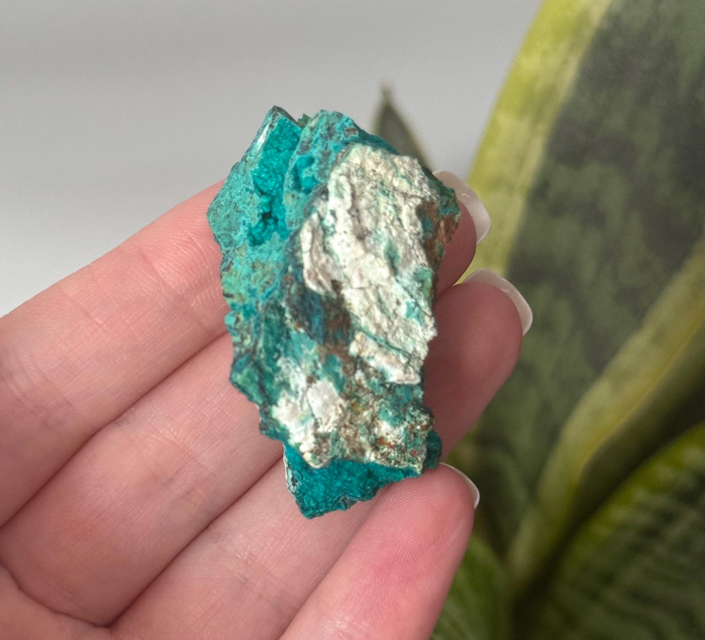 Beautiful Chrysocolla Specimen from Cunyari Mine in Peru | Cunyari Chrysocolla