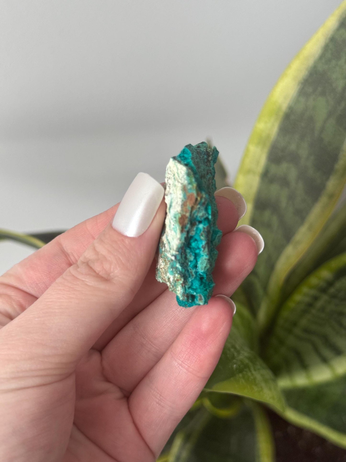 Beautiful Chrysocolla Specimen from Cunyari Mine in Peru | Cunyari Chrysocolla