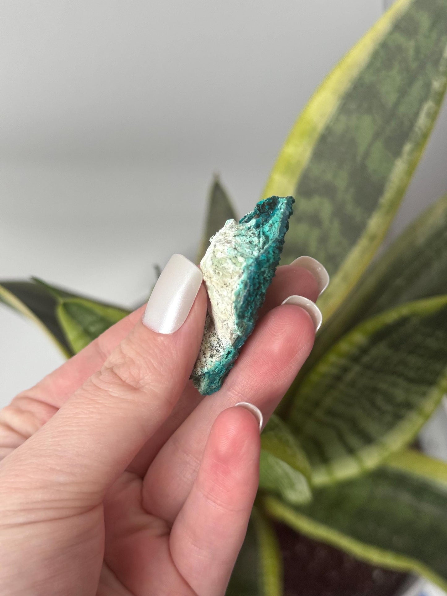 Beautiful Chrysocolla Specimen from Cunyari Mine in Peru | Cunyari Chrysocolla