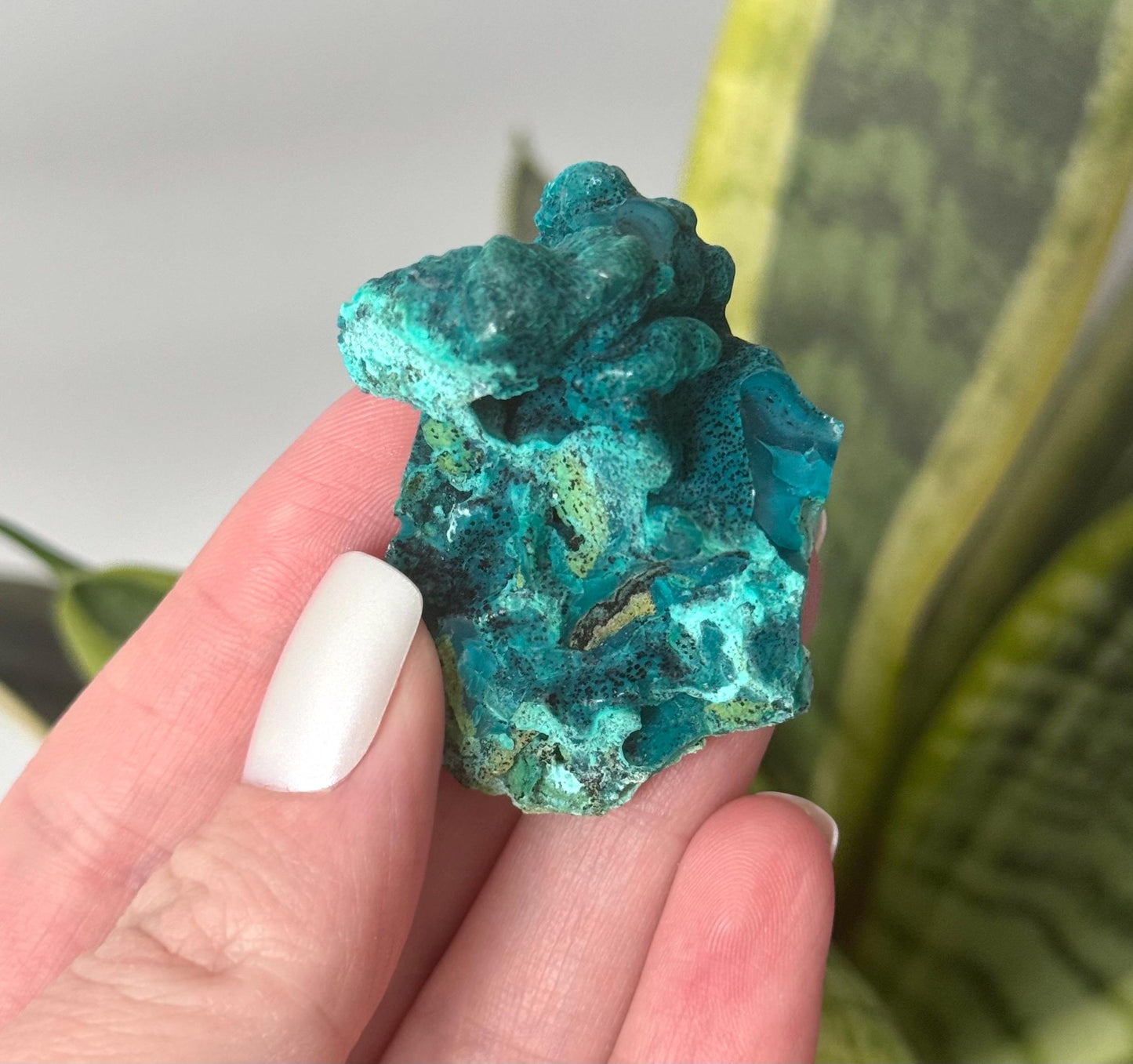 Beautiful Chrysocolla Specimen from Cunyari Mine in Peru | Cunyari Chrysocolla