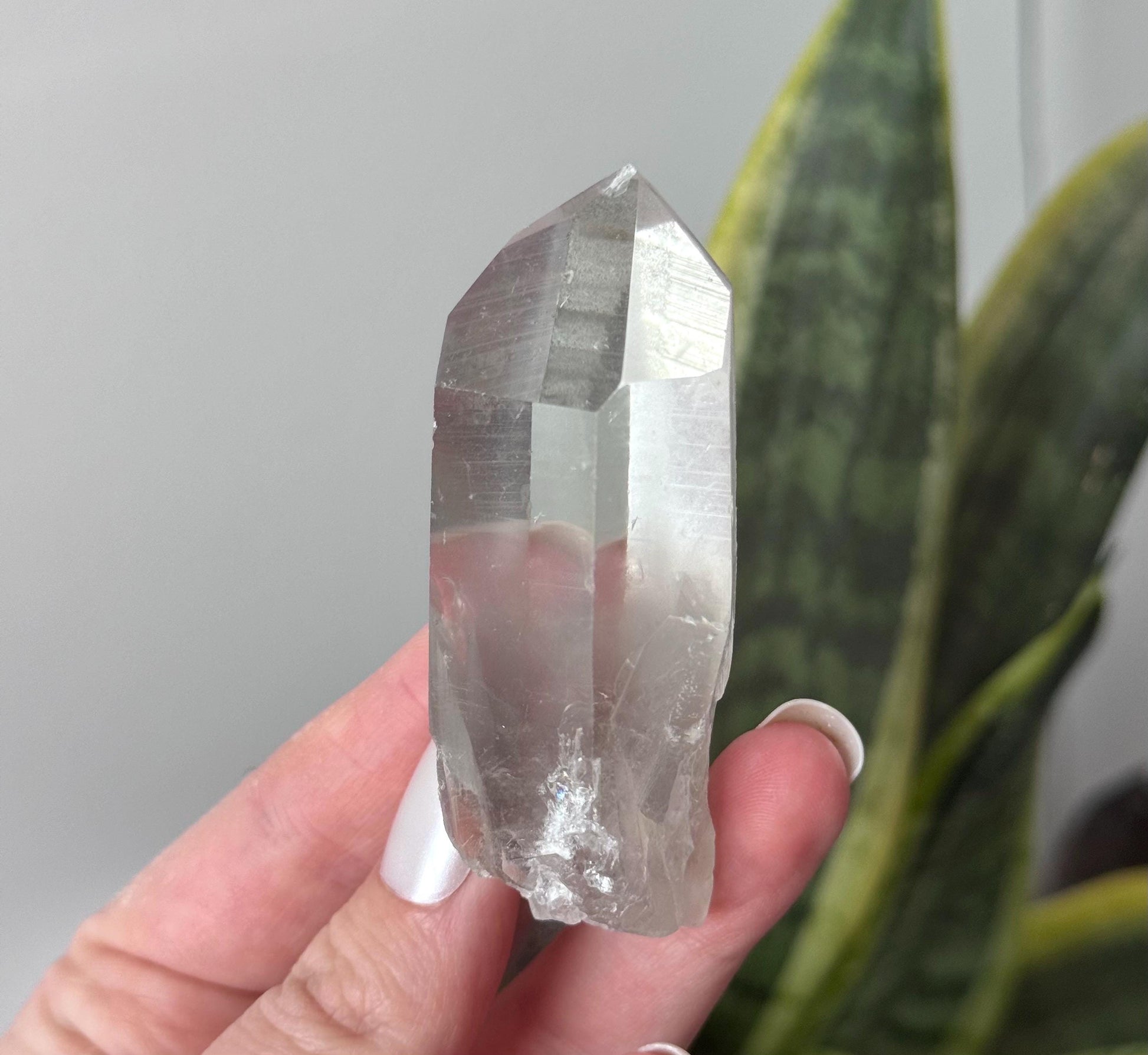 RARE Grey Lithium Quartz Point from Brazil | Grey Phantom Inclusion Quartz