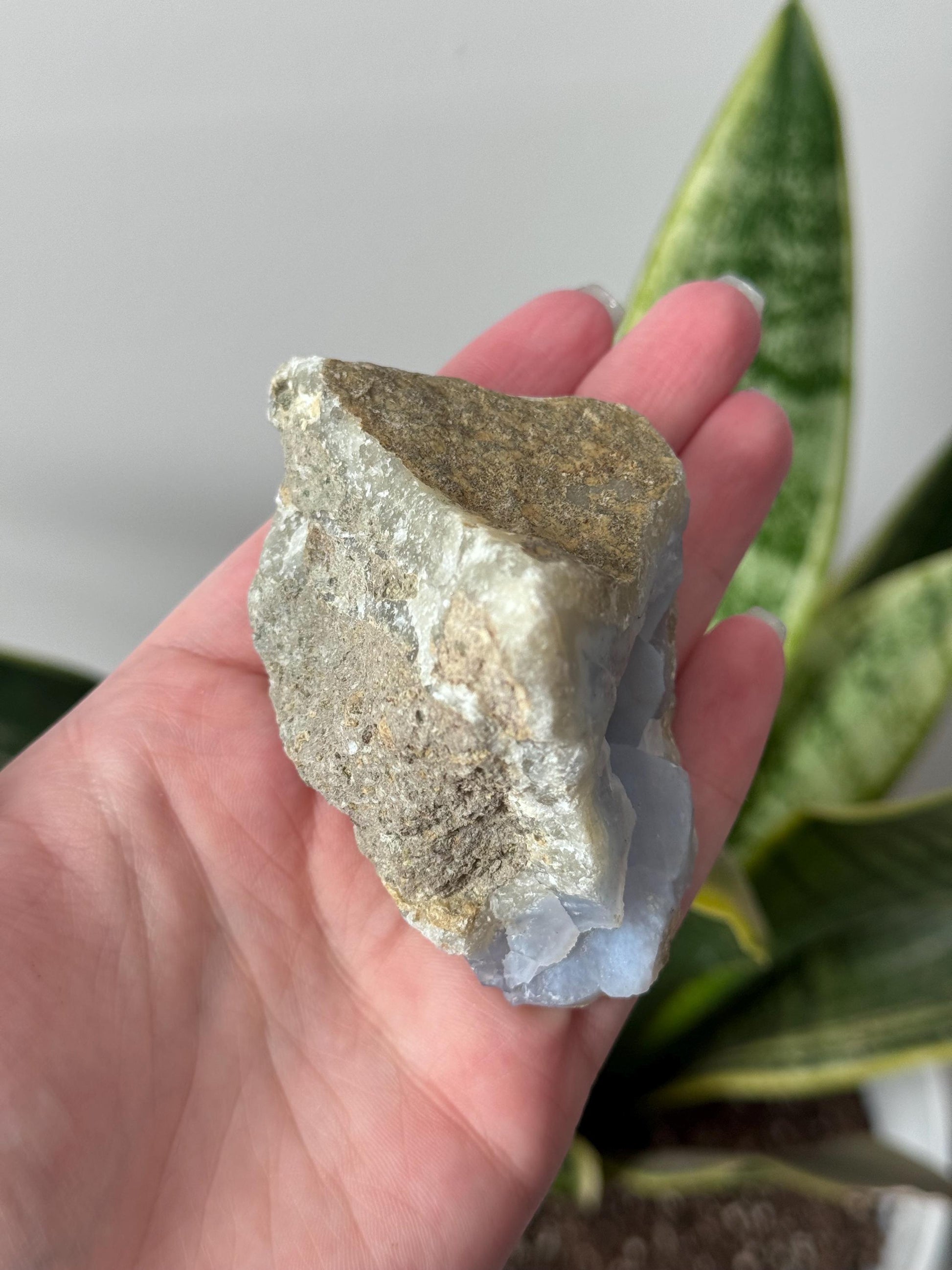 Beautiful Blue Lace Agate Cave from South Africa | Raw Blue Lace Agate Geode