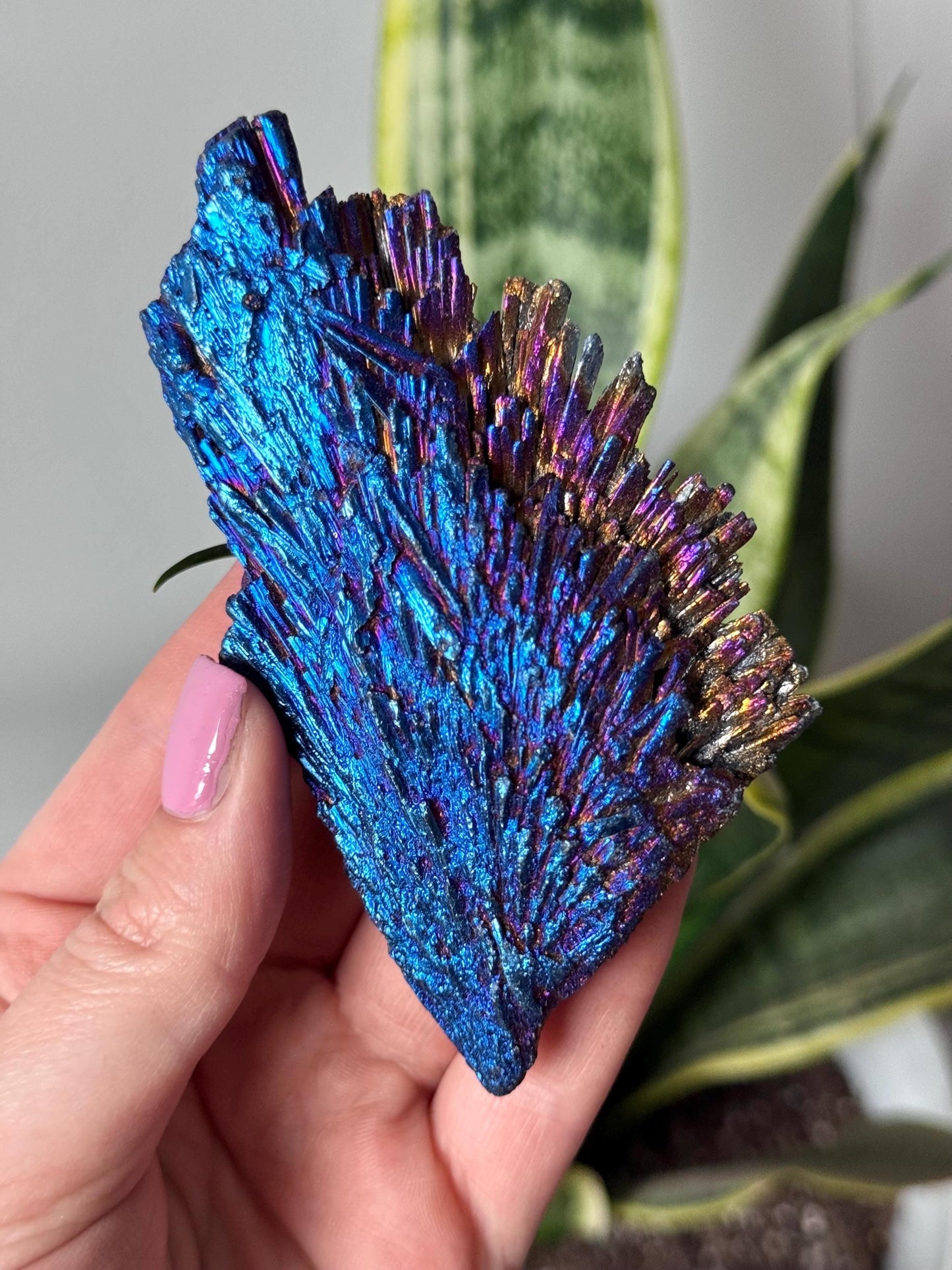 Beautiful Aura Kyanite Blades | Aura Coated Kyanite