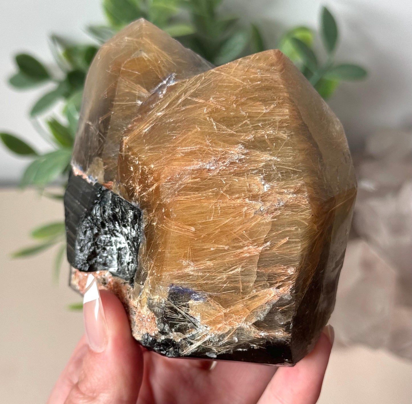 Stunning Rutilated Quartz with Black Tourmaline | Golden Rutile in Quartz Double Pointed with Tourmaline from Madagascar