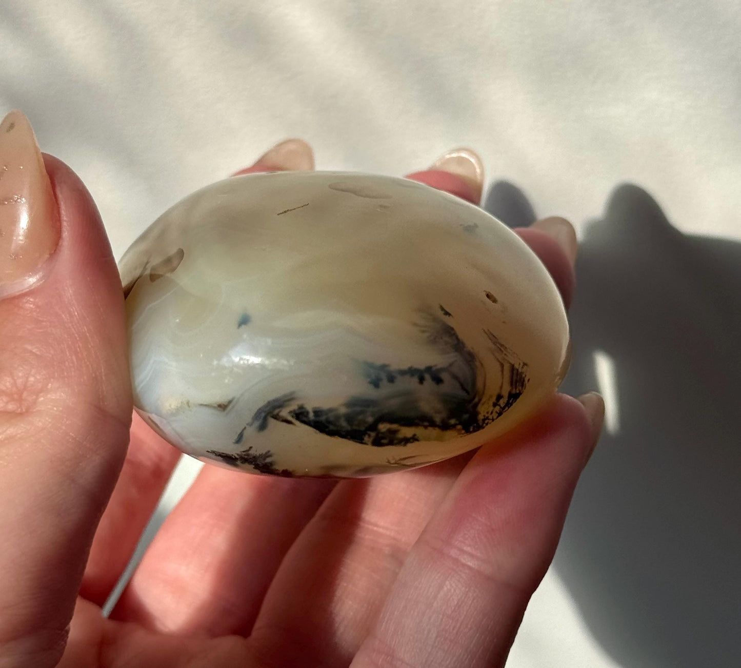 Beautiful Dentritic Agate Palm Stone from Madagascar | Agate with Dentritic Inclusions