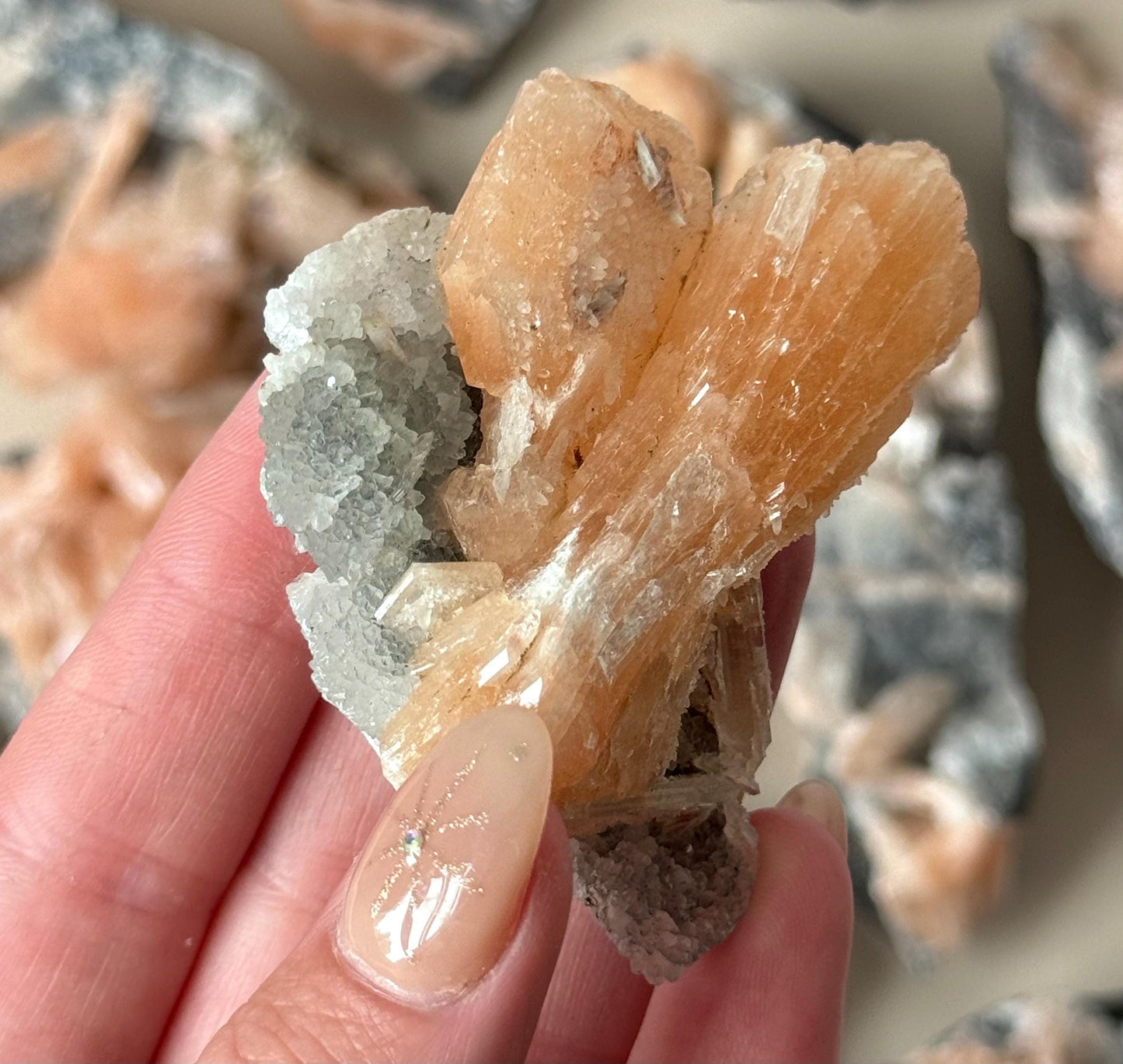 Beautiful Druzy Blue Chalcedony with Peach Stillbites Cluster from India