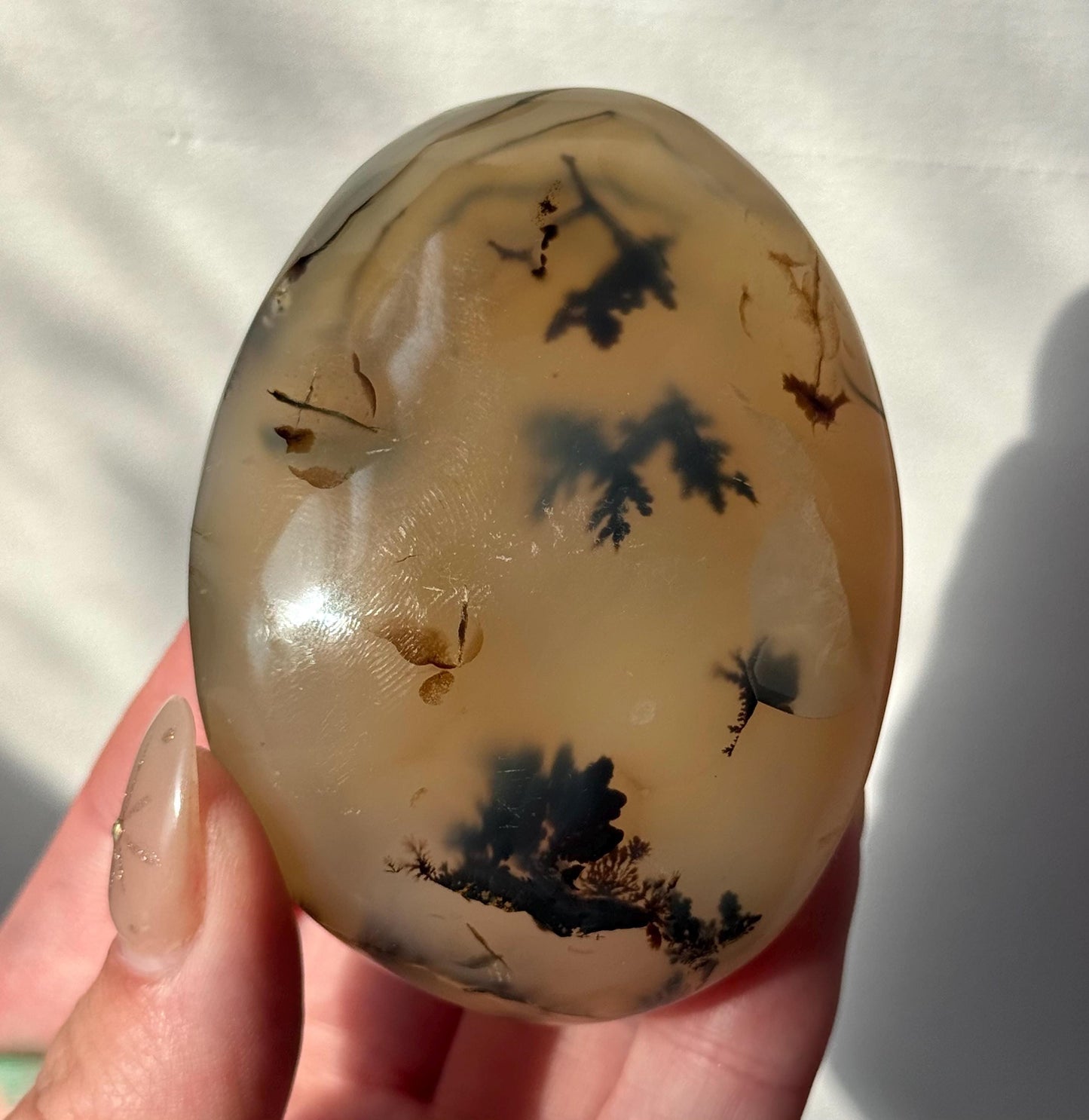 Beautiful Dentritic Agate Palm Stone from Madagascar | Agate with Dentritic Inclusions