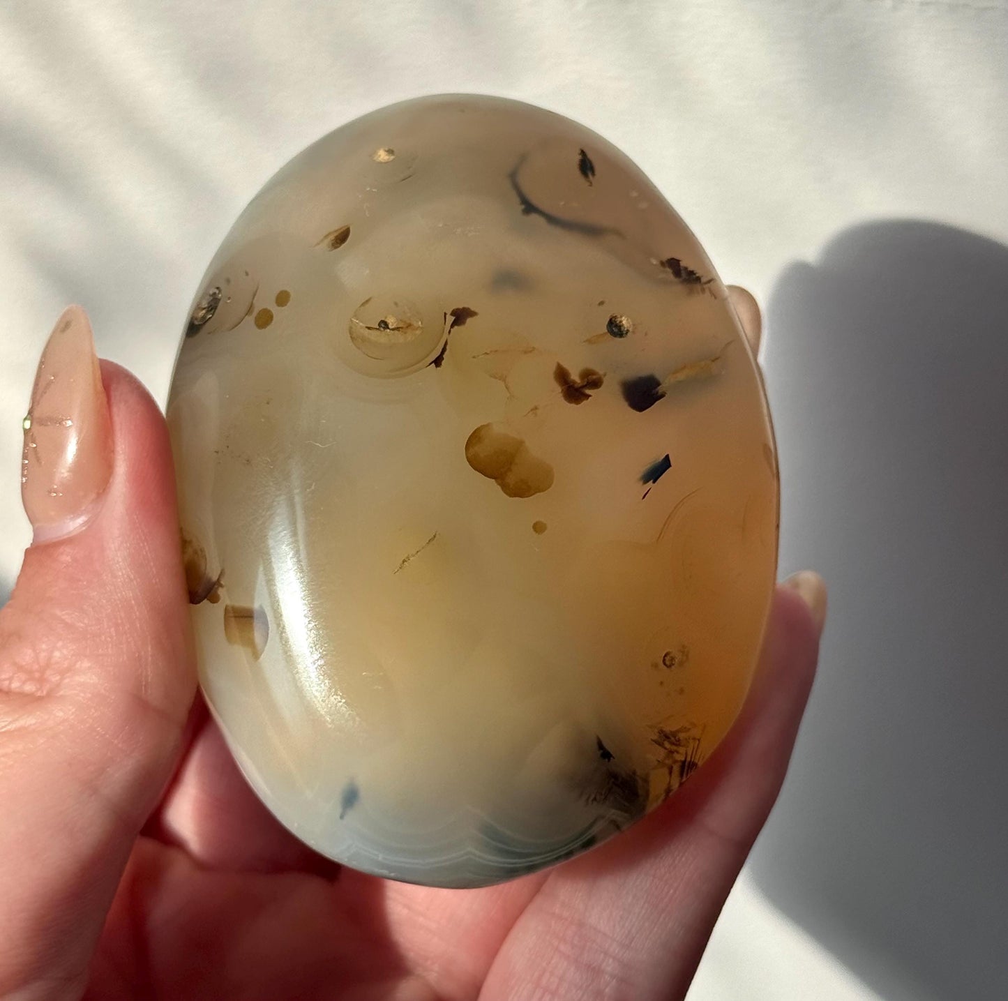 Beautiful Dentritic Agate Palm Stone from Madagascar | Agate with Dentritic Inclusions