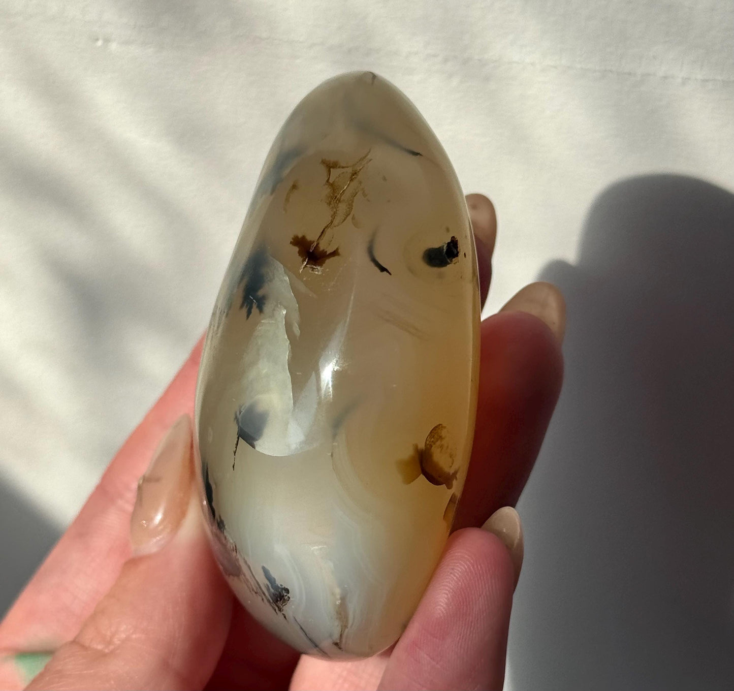 Beautiful Dentritic Agate Palm Stone from Madagascar | Agate with Dentritic Inclusions