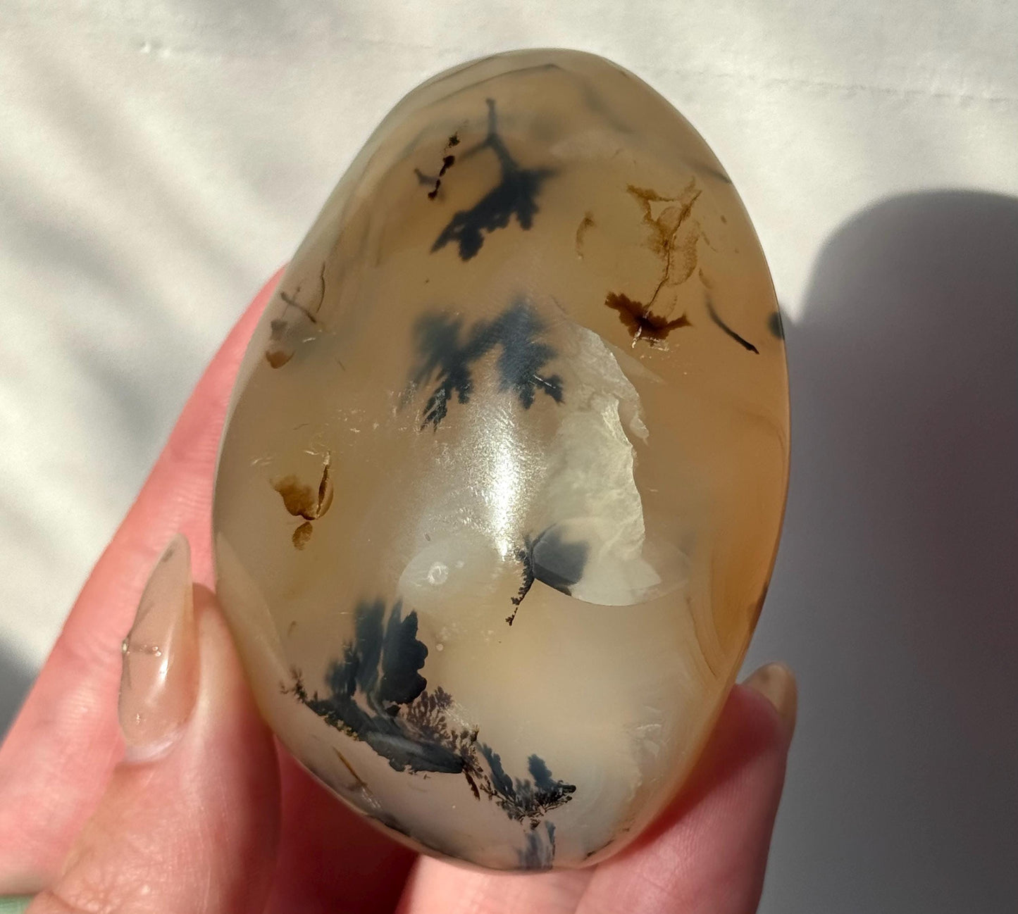 Beautiful Dentritic Agate Palm Stone from Madagascar | Agate with Dentritic Inclusions