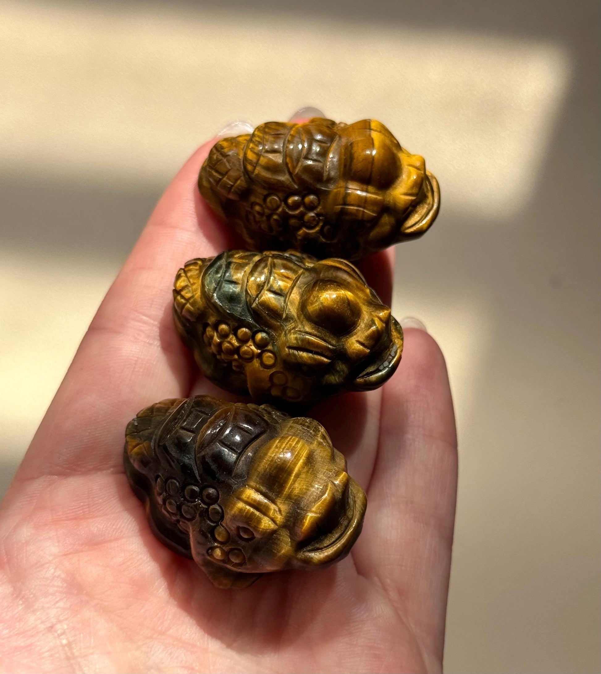 Beautiful Tiger’s Eye Money Toad Carvings | Feng Shui Mini Money Toads