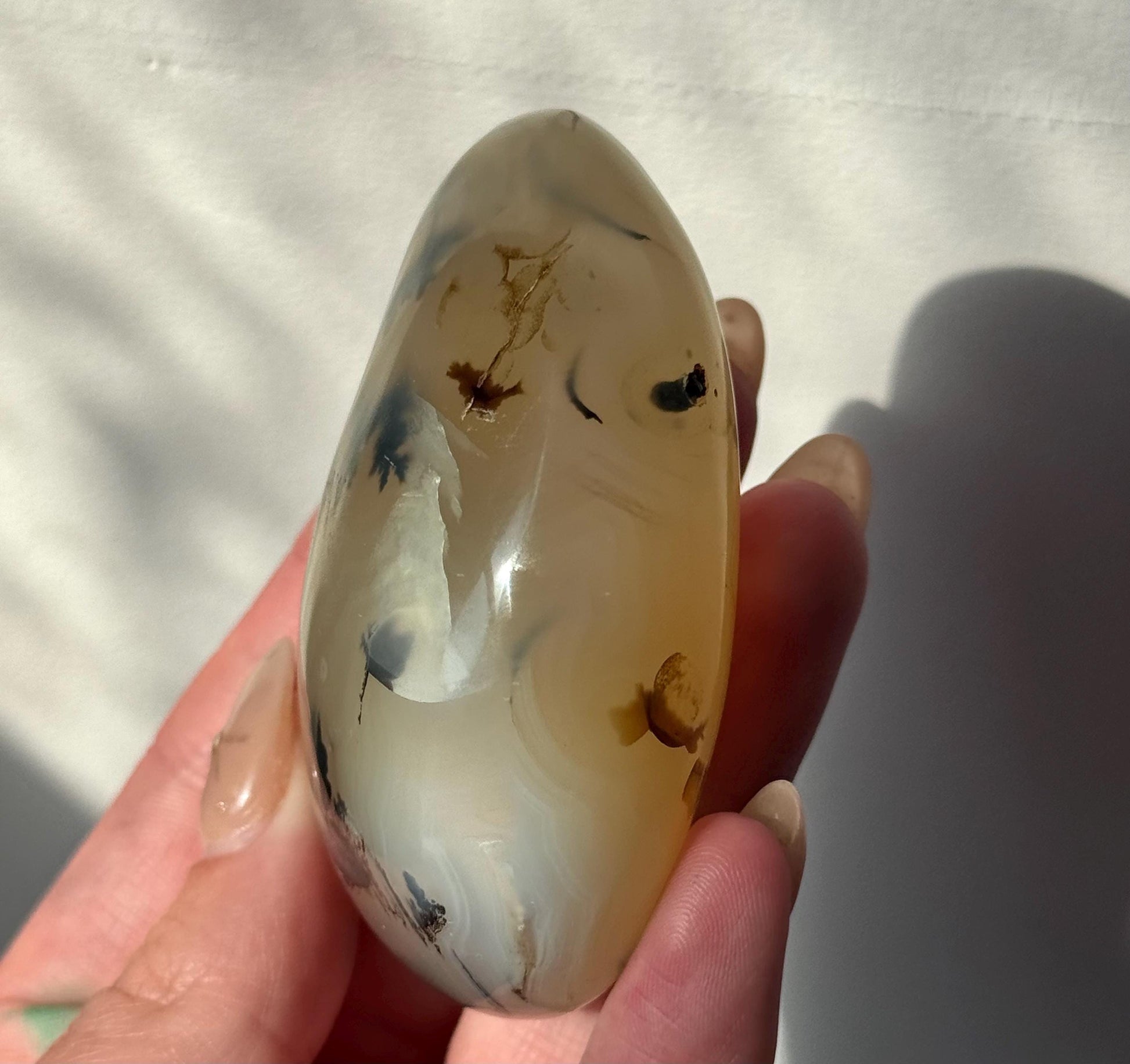 Beautiful Dentritic Agate Palm Stone from Madagascar | Agate with Dentritic Inclusions