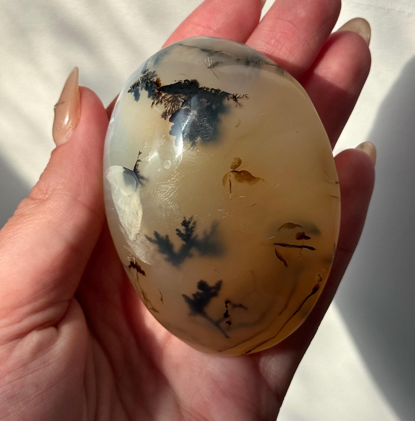 Beautiful Dentritic Agate Palm Stone from Madagascar | Agate with Dentritic Inclusions
