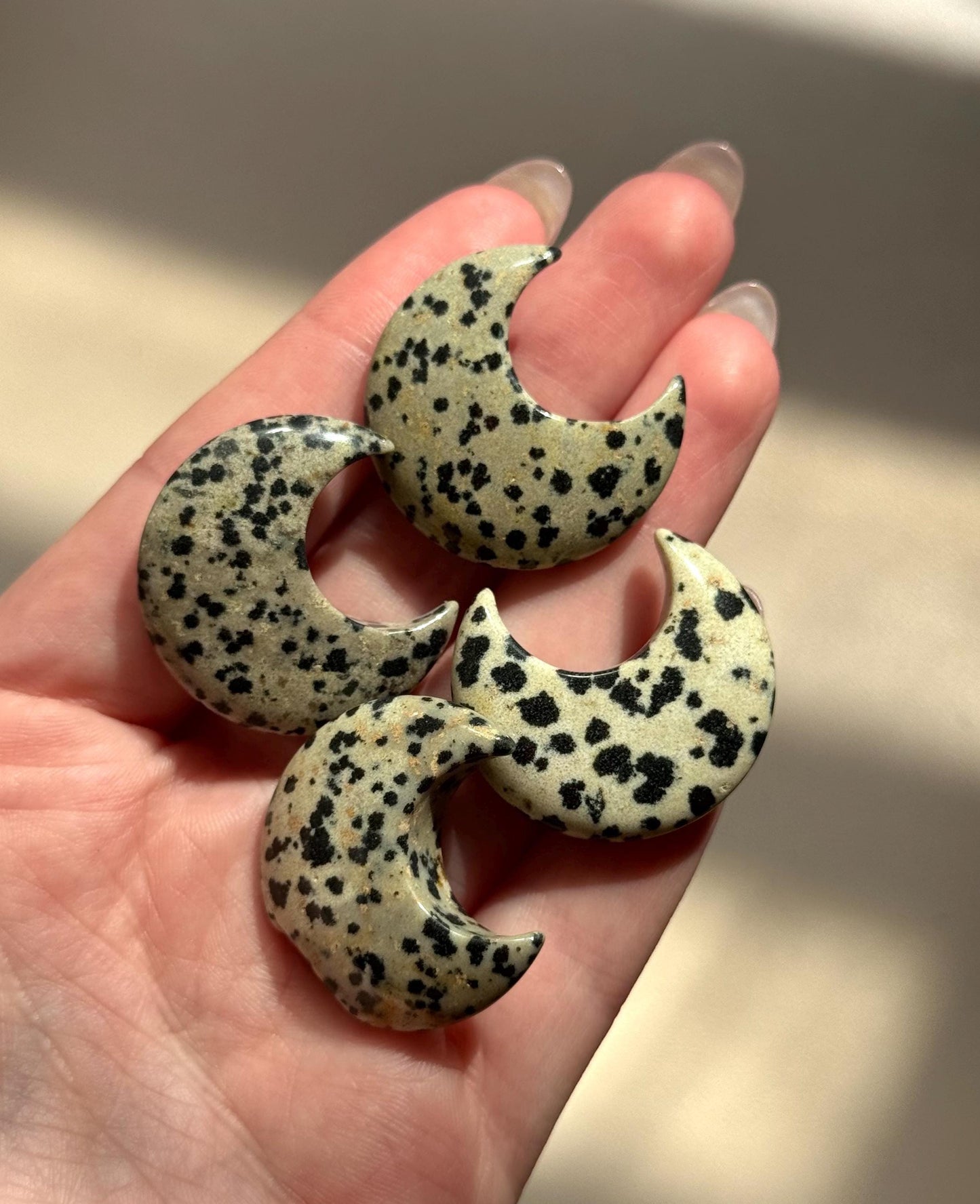 Beautiful Dalmatian Jasper Crescent Moon Carvings | (1) One Dalmatian Jasper Moon