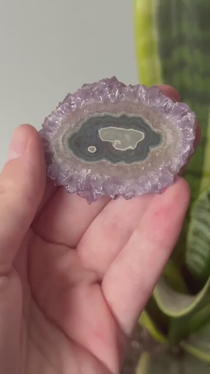 Gorgeous Druzy Amethyst Stalactite Slice from Uruguay