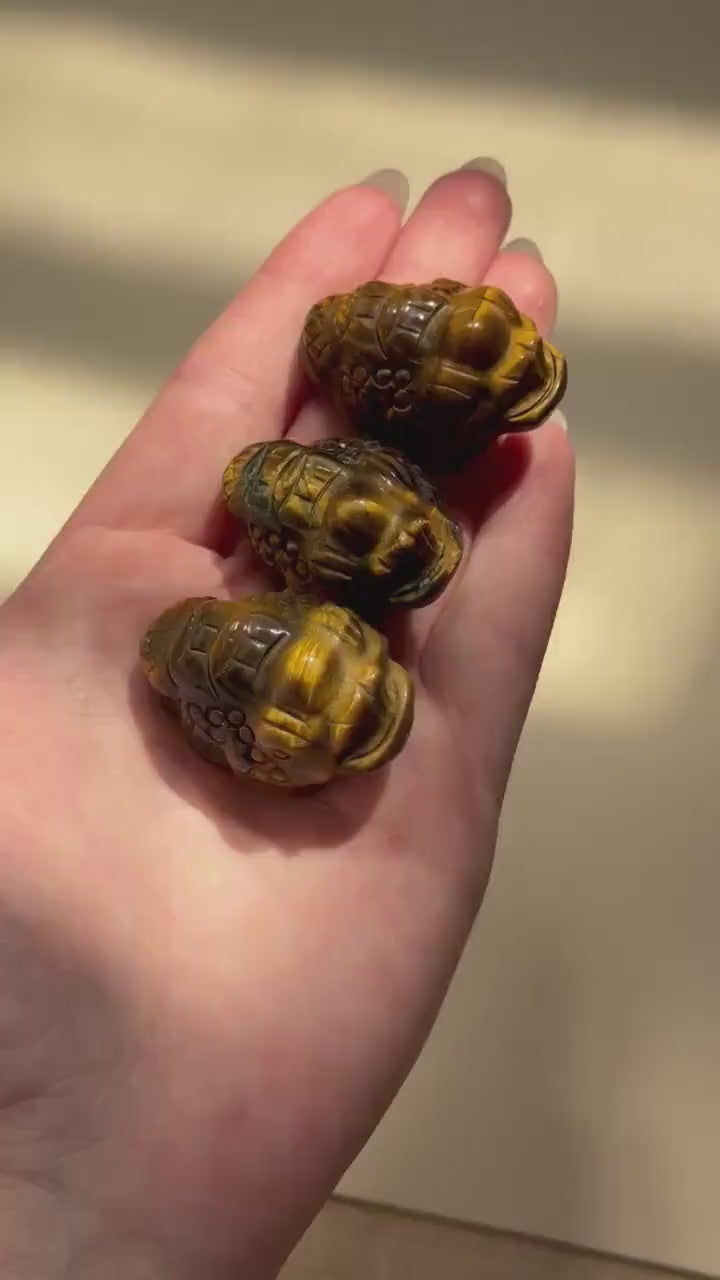 Beautiful Tiger’s Eye Money Toad Carvings | Feng Shui Mini Money Toads