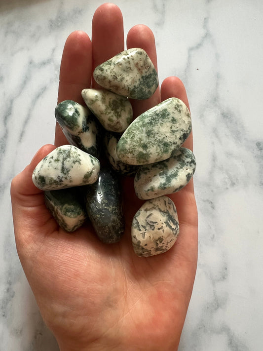 Moss agate tumbles small/medium