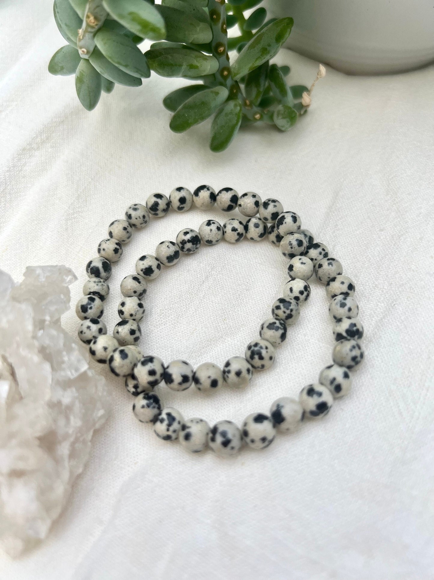Dalmatian Jasper Bracelet for Joy & Positivity 6mm Genuine Gemstone Beaded Bracelet Natural Crystal Jewelry Gift for Spouse Gift idea