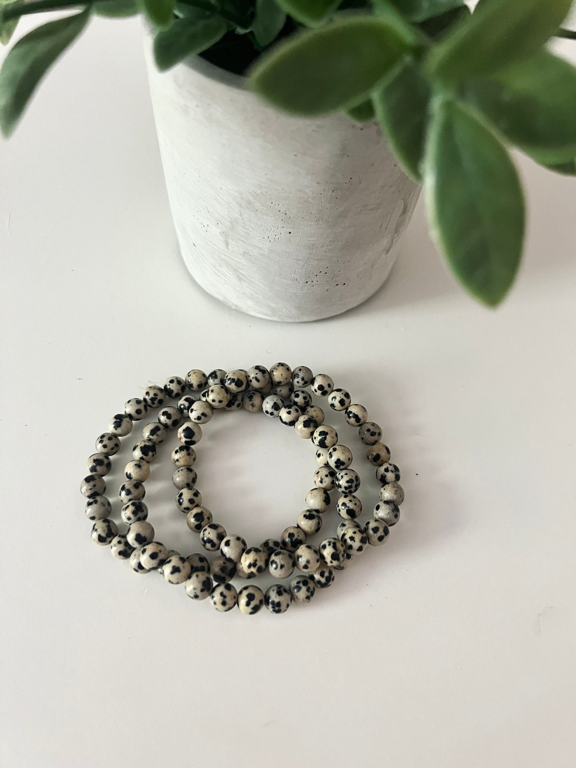Dalmatian Jasper Bracelet for Joy & Positivity 6mm Genuine Gemstone Beaded Bracelet Natural Crystal Jewelry Gift for Spouse Gift idea