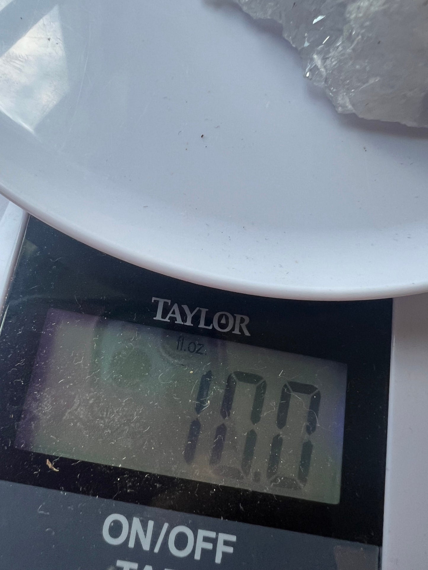 Raw Blue Lace Agate Specimen with tons of Druze Unpolished Blue Lace Agate Druzy Blue Lace Agate