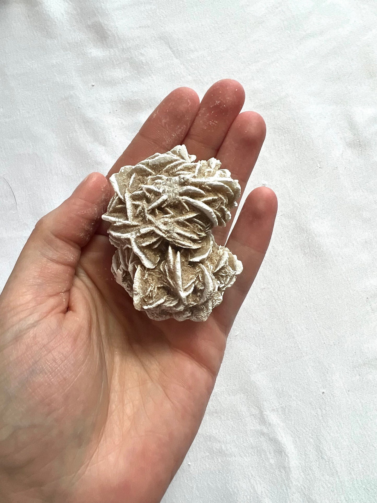 Desert Rose / Selenite Gypsum Clusters (You pick which one)