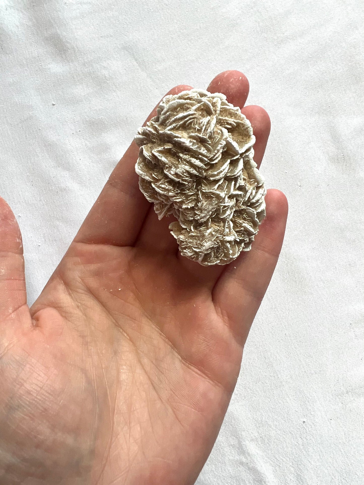 Desert Rose / Selenite Gypsum Clusters (You pick which one)