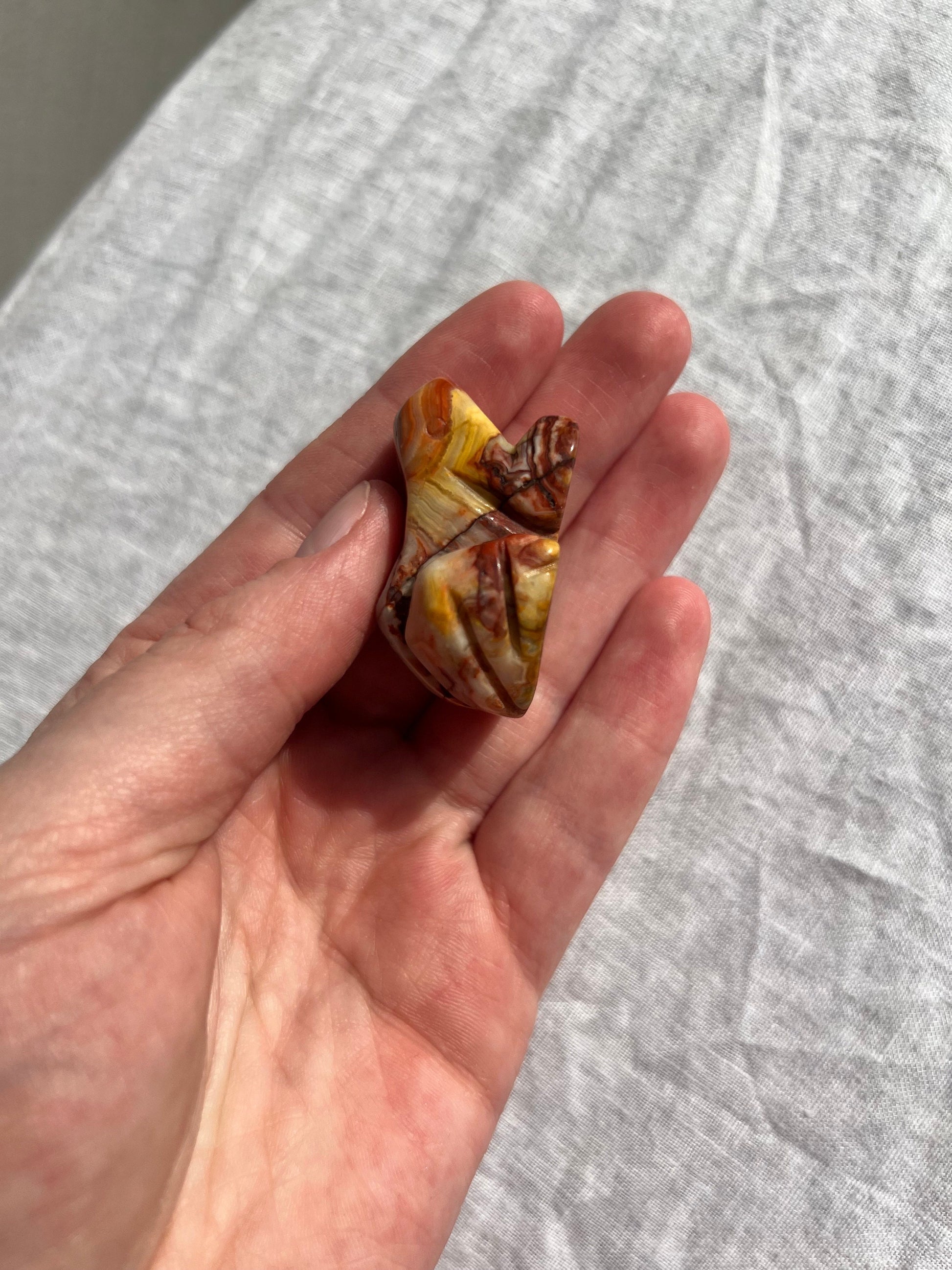 Gorgeous Crazy Lace Agate Toad Carving Mini