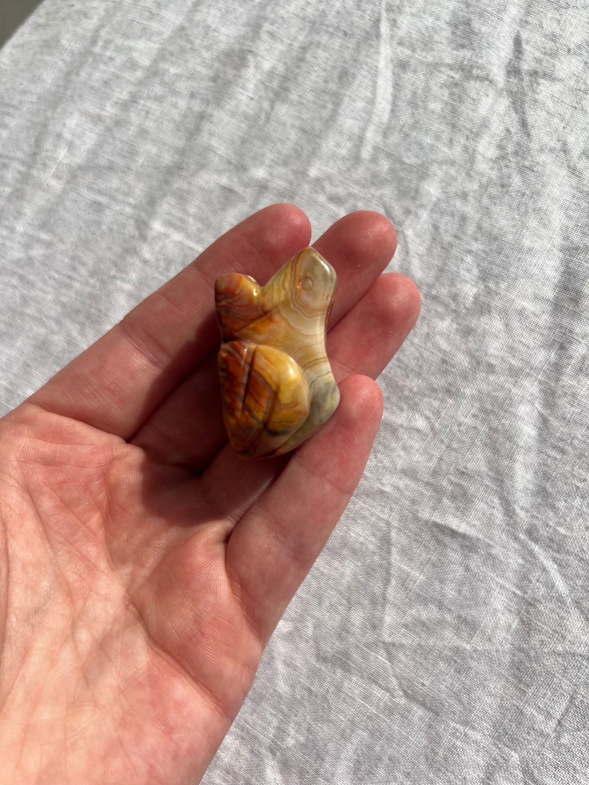 Gorgeous Crazy Lace Agate Toad Carving Mini